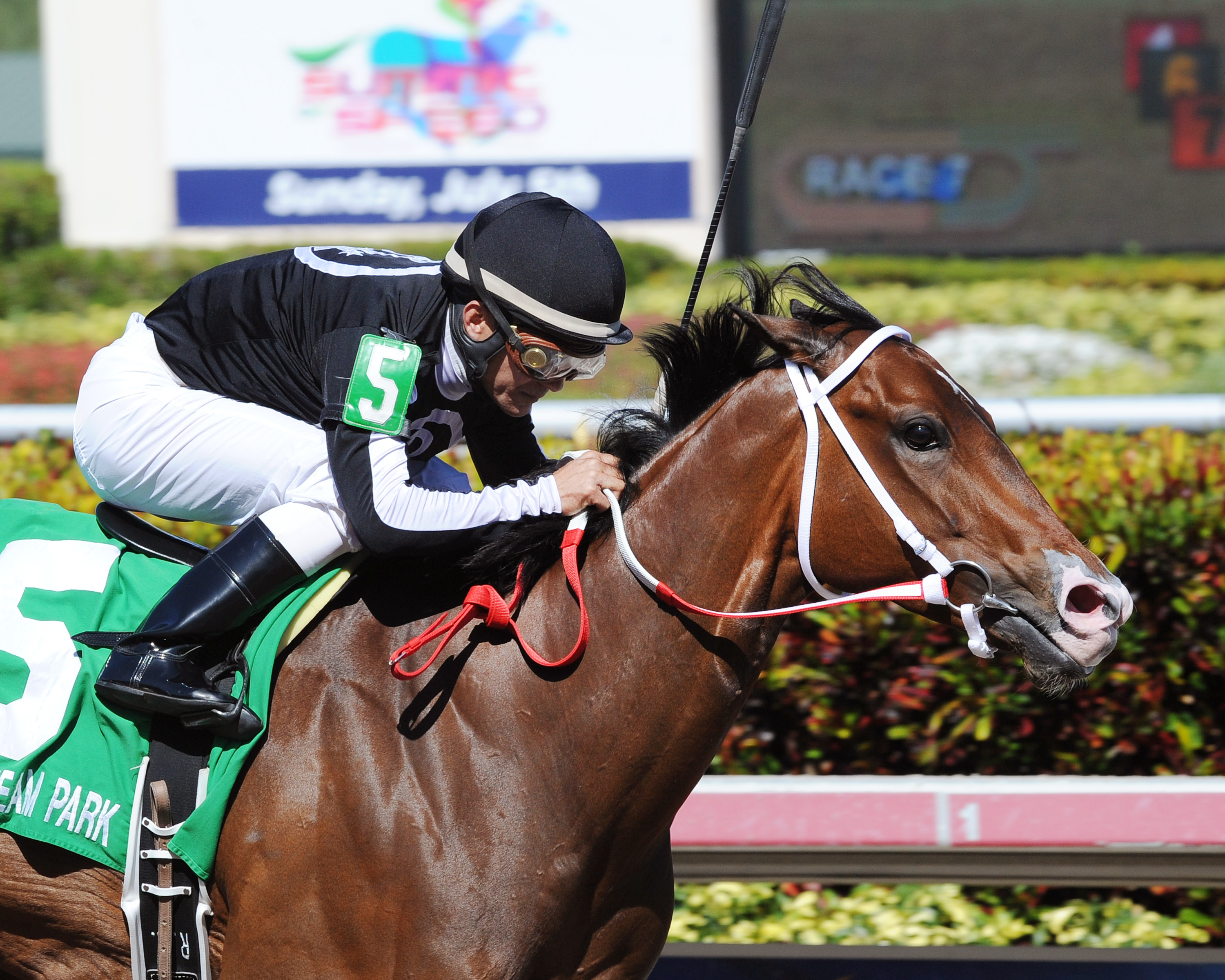 R Free Roll wins the Orange Blossom Handicap
