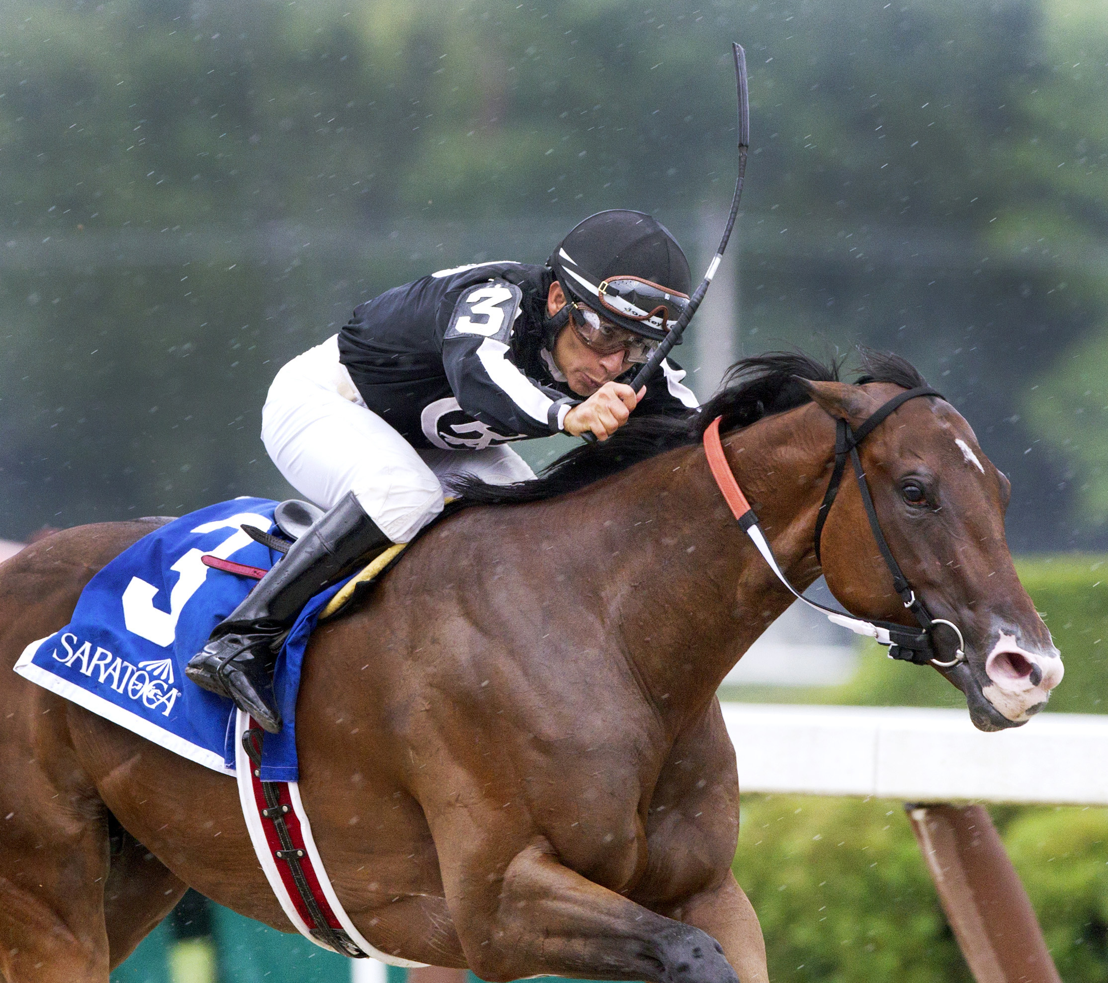 R Free Roll wins the Honorable Miss