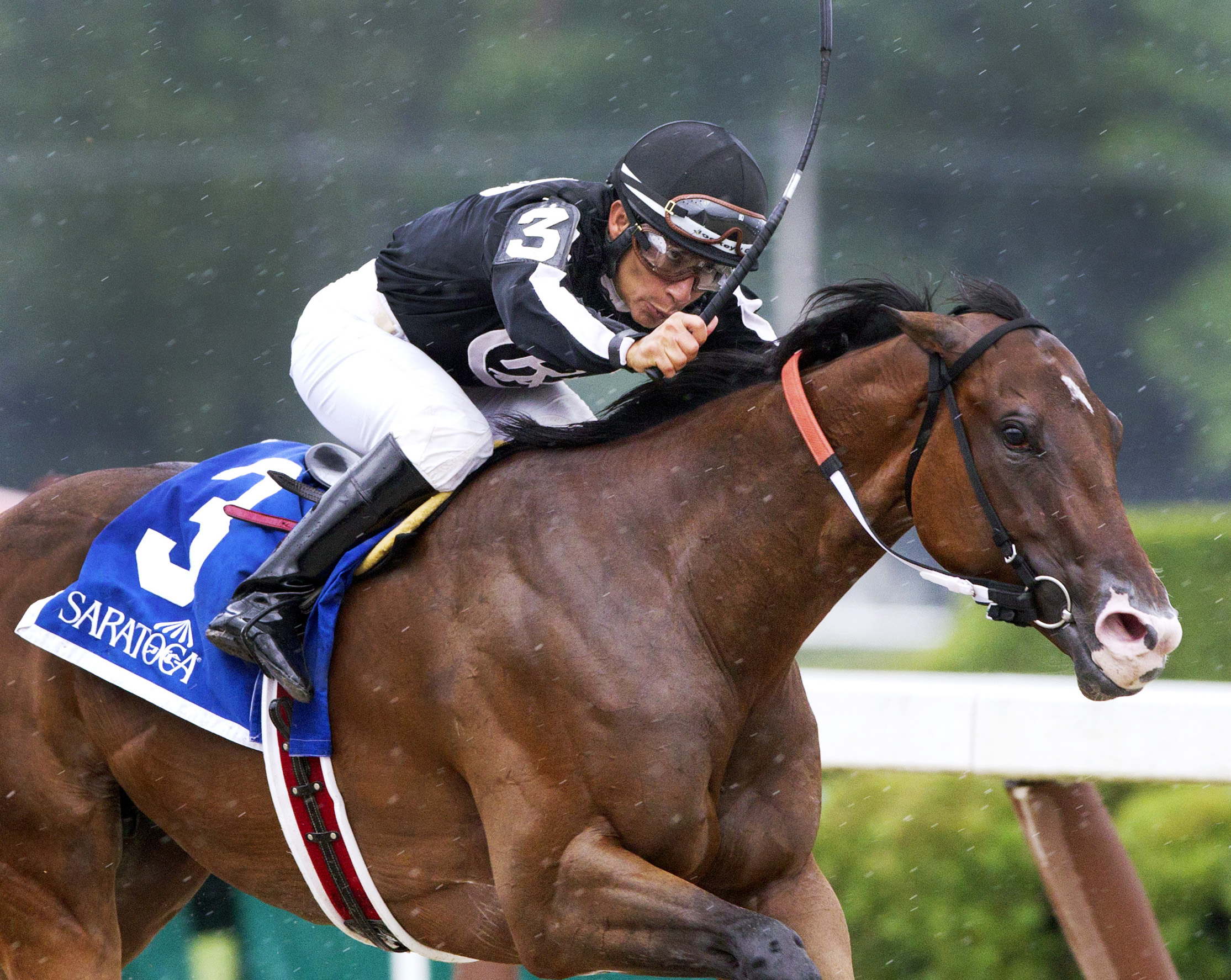 R Free Roll wins the Honorable Miss
