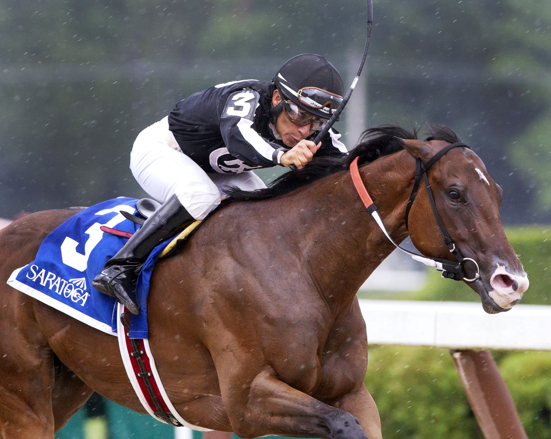 R Free Roll wins the Honorable Miss