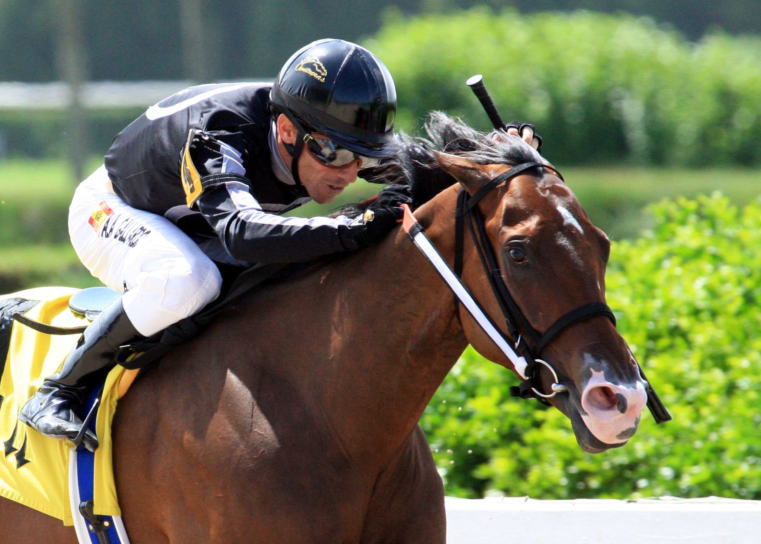 R Free Roll, Unbridled Stakes
