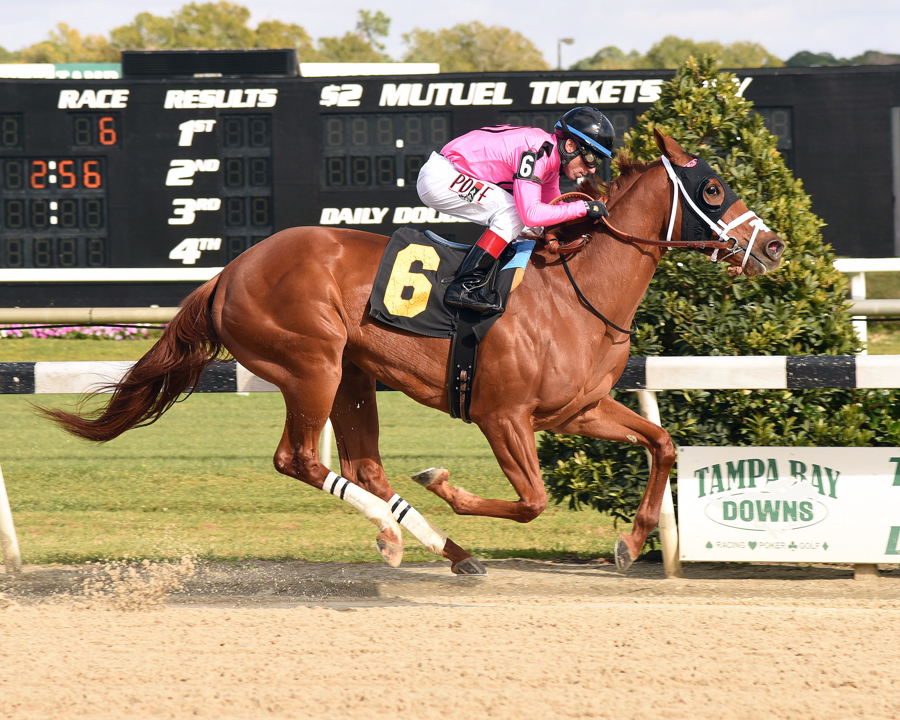 R Girls a Charmer wins the Gasparilla Stakes