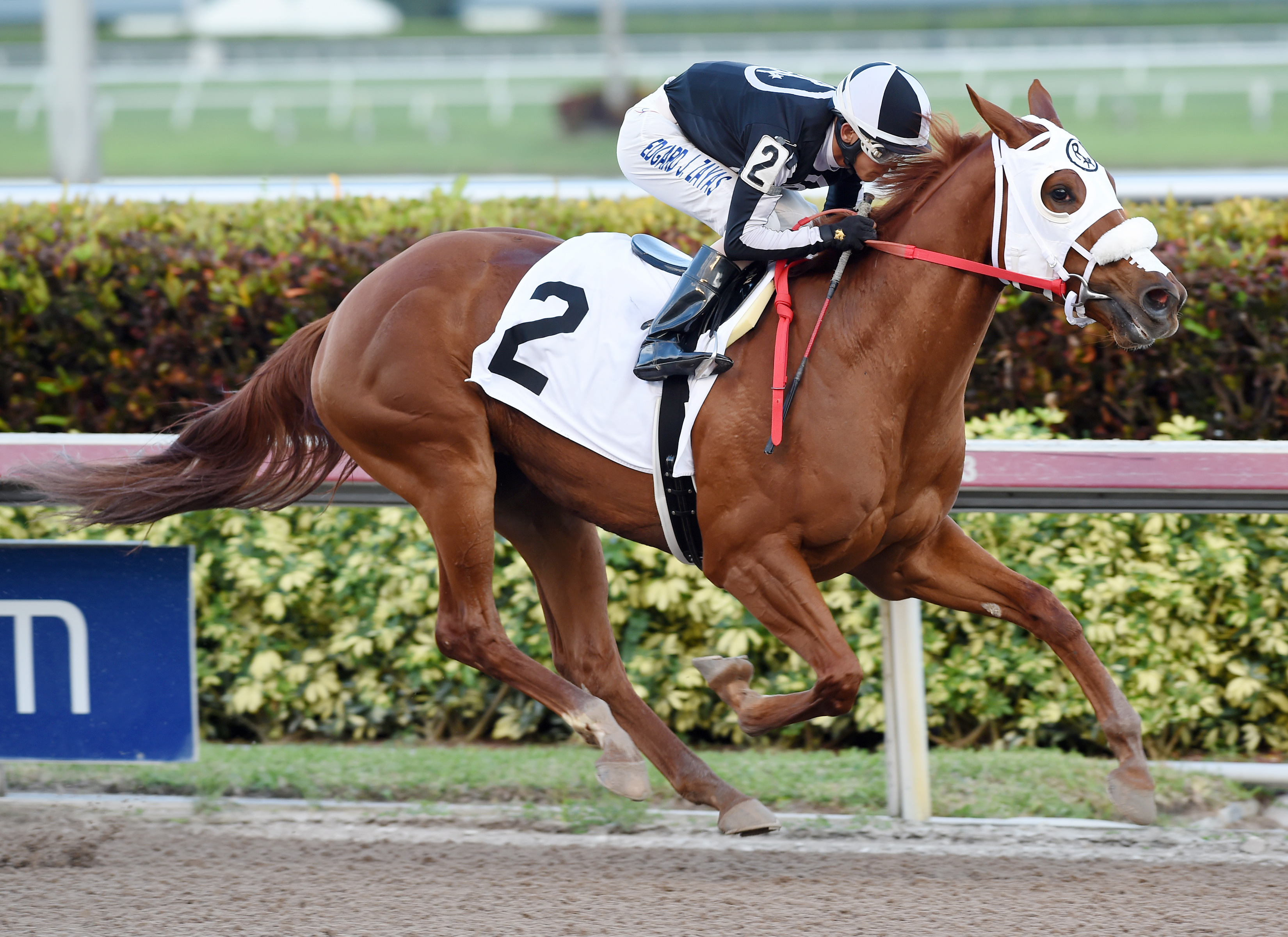 R Girls a Charmer wins a maiden race