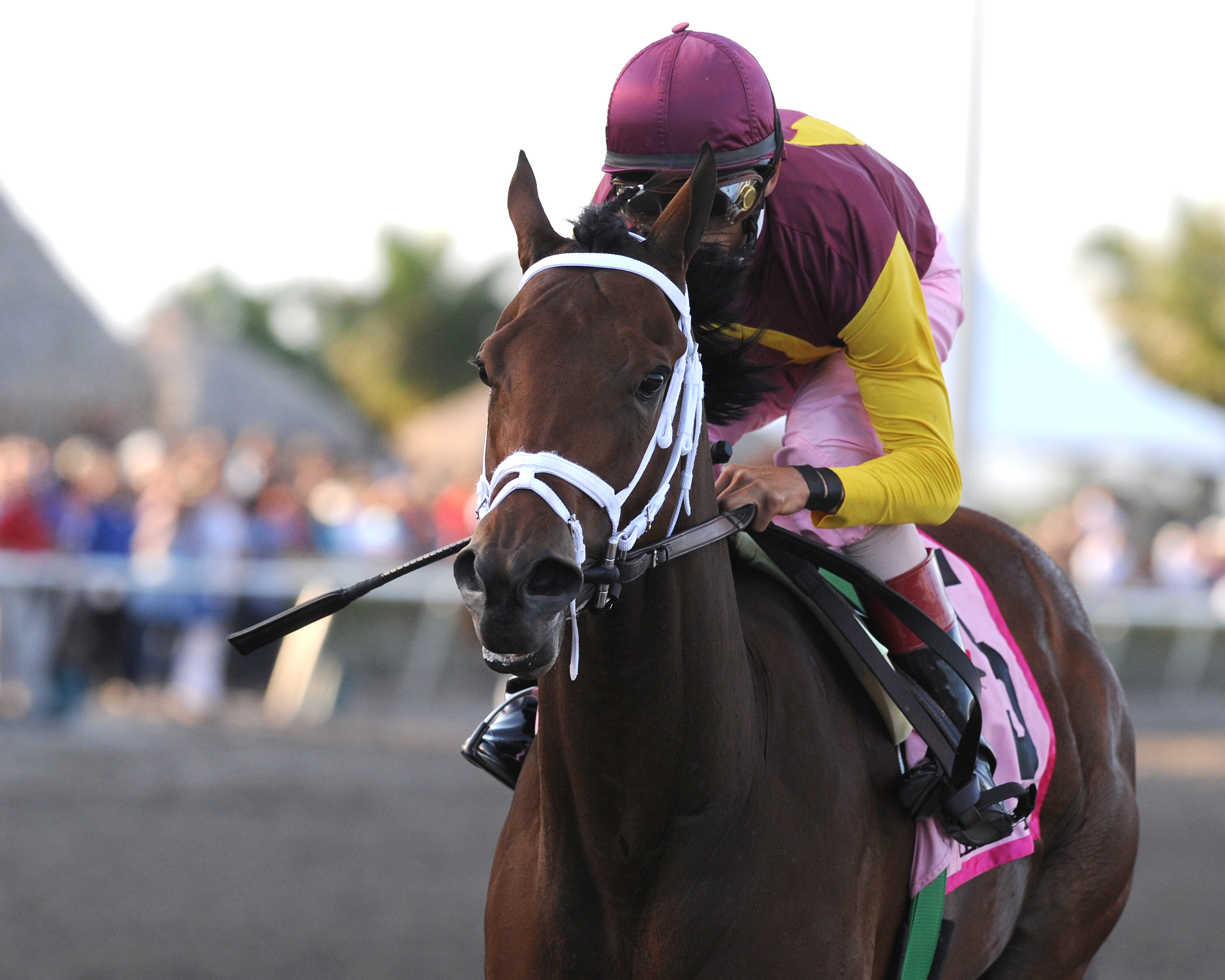 R Heat Lightning/Gulfstream Oaks