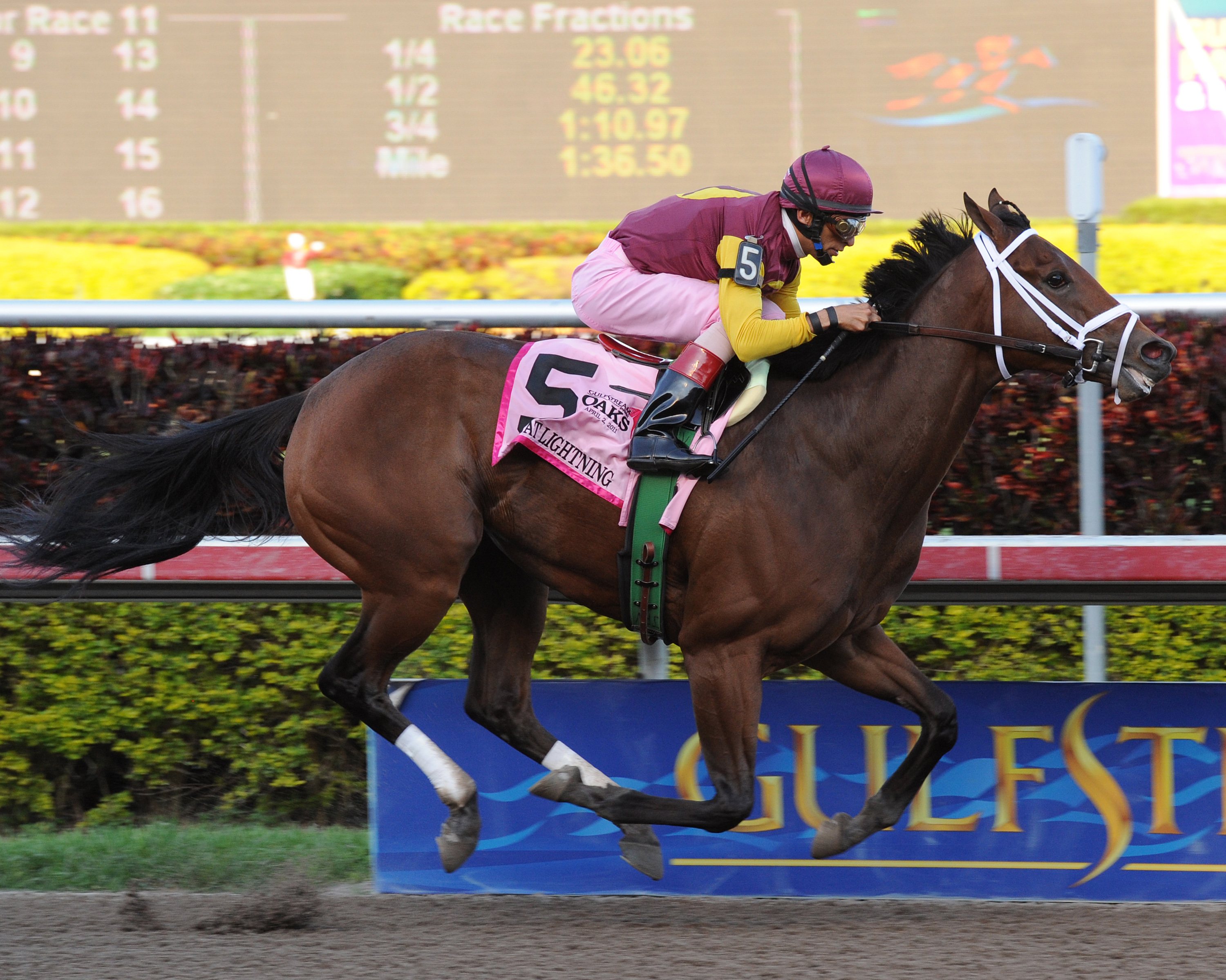 R Heat Lightning/Gulfstream Oaks