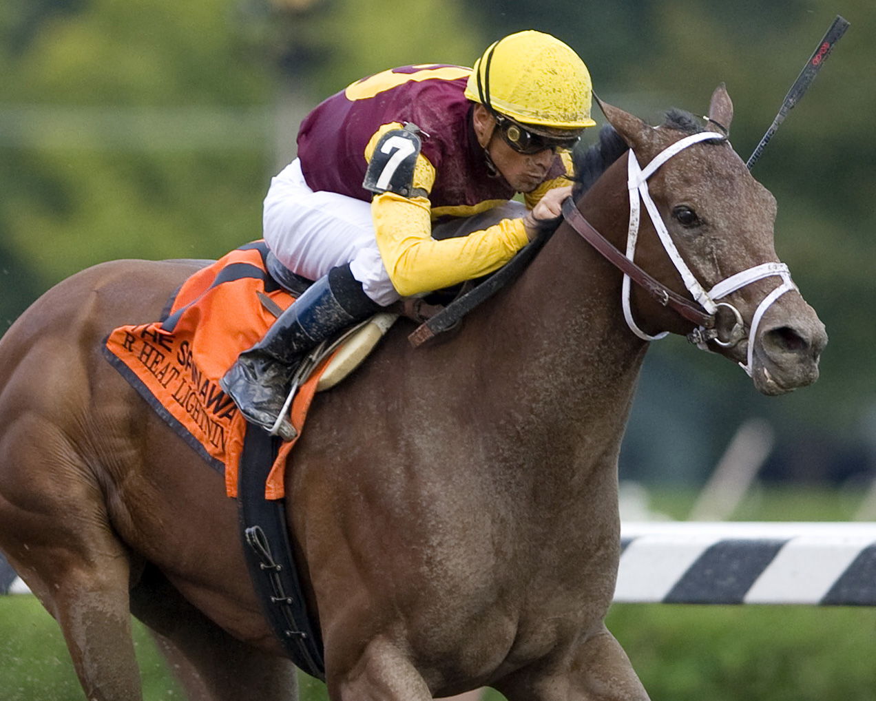 R Heat Lightning - Eclipse Awards
