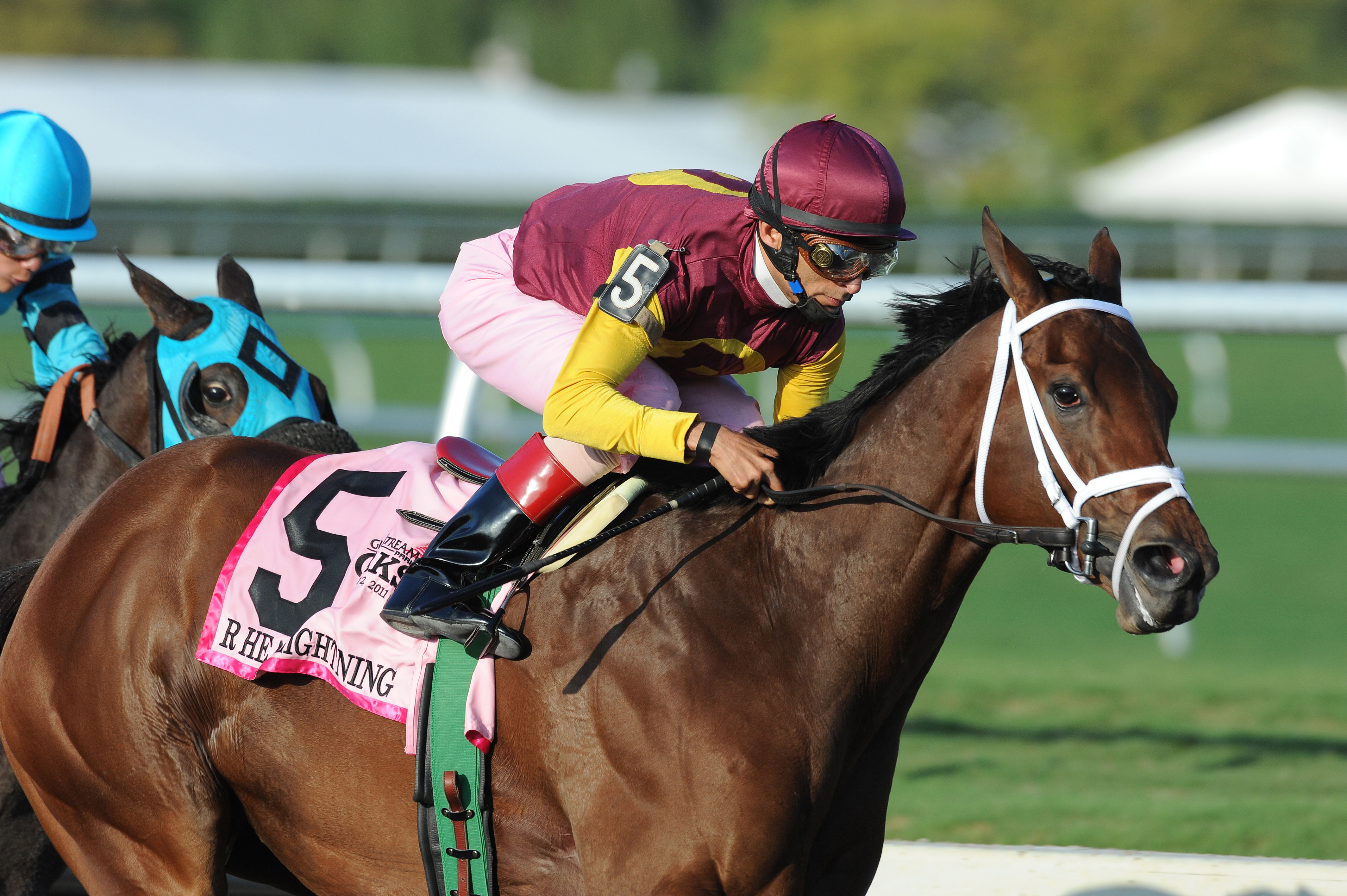 R Heat Lightning/Gulfstream Oaks