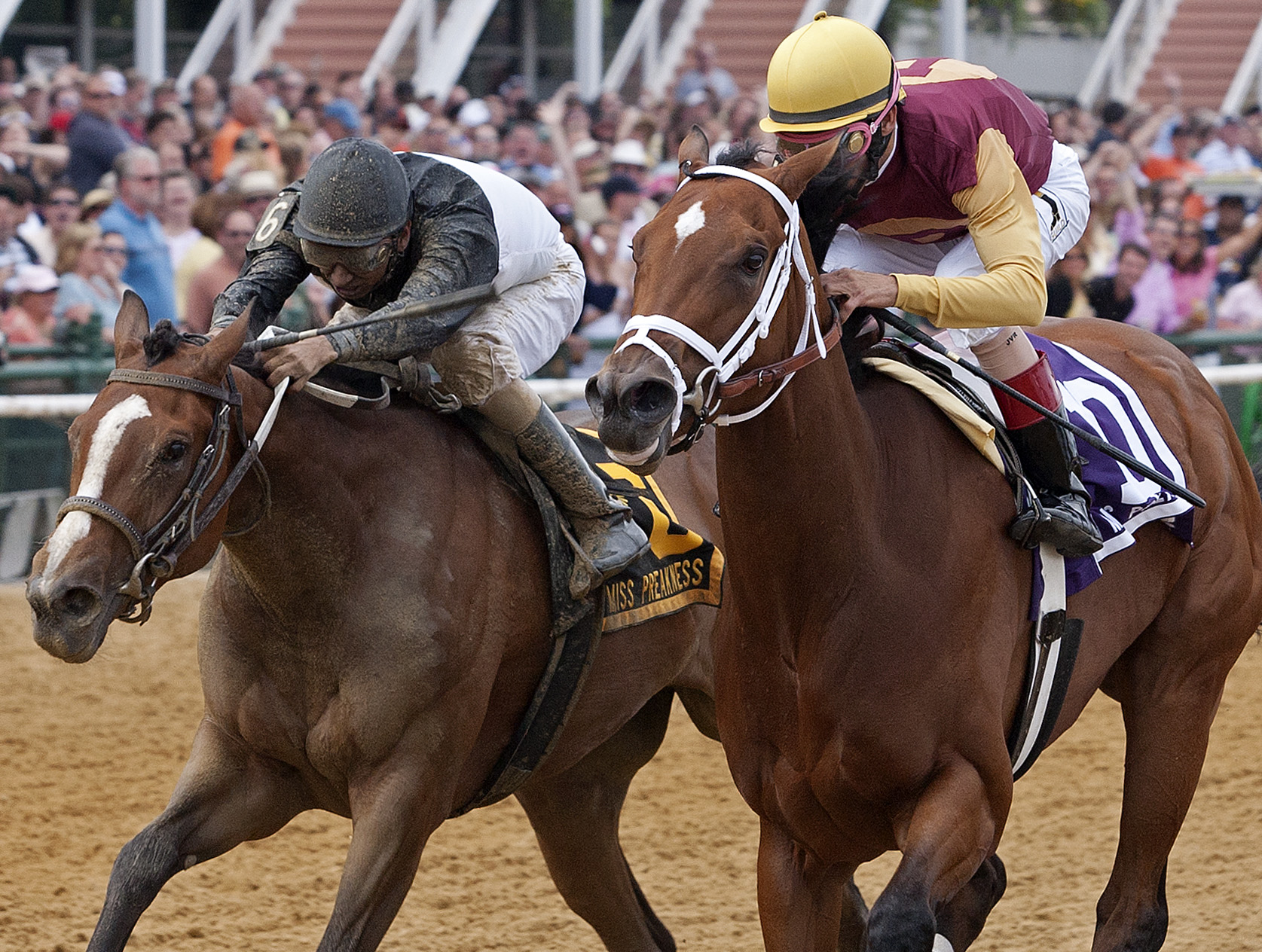 R Holiday Mood (right), Miss Preakness