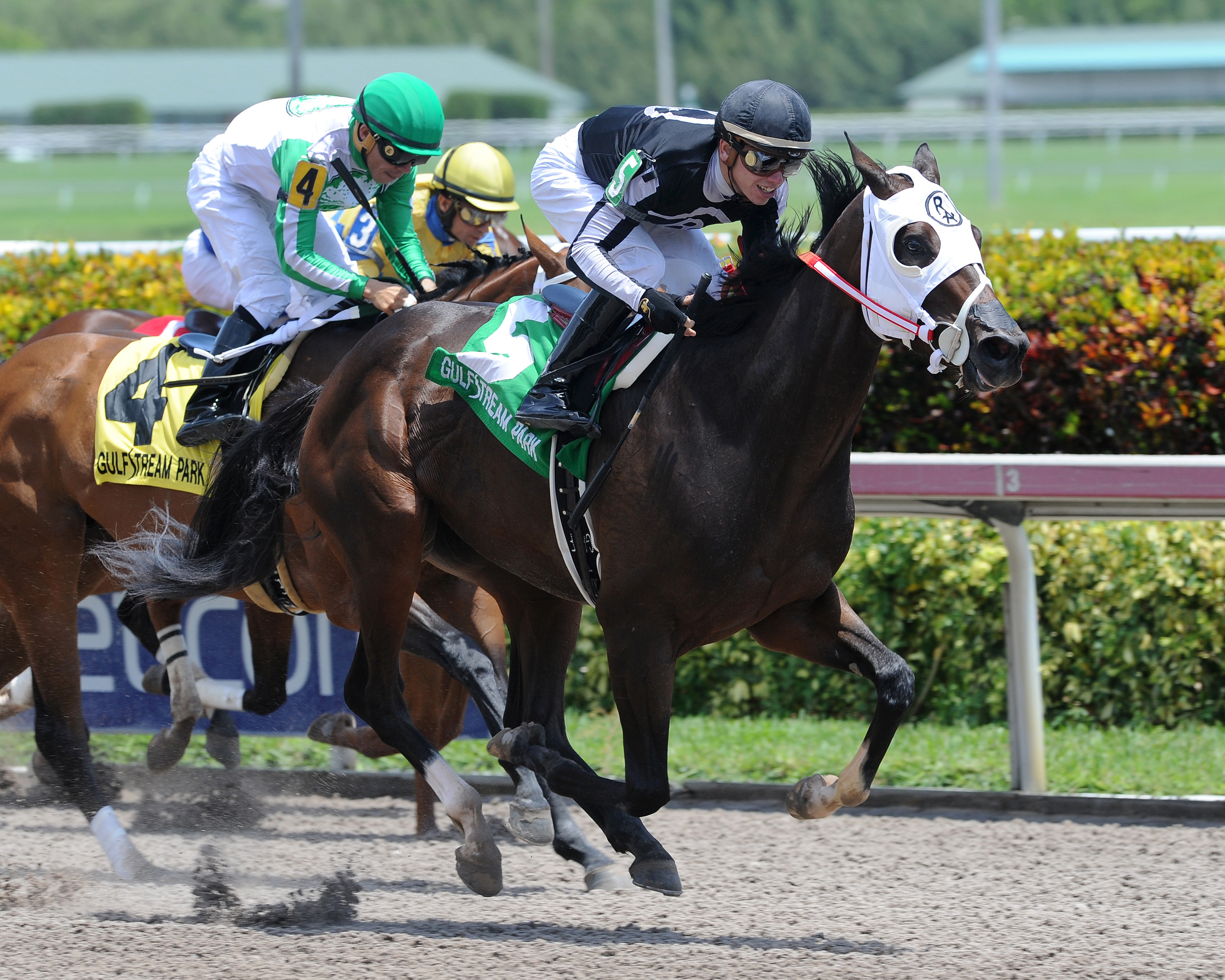 R Kinsley Doll wins the Three Ring