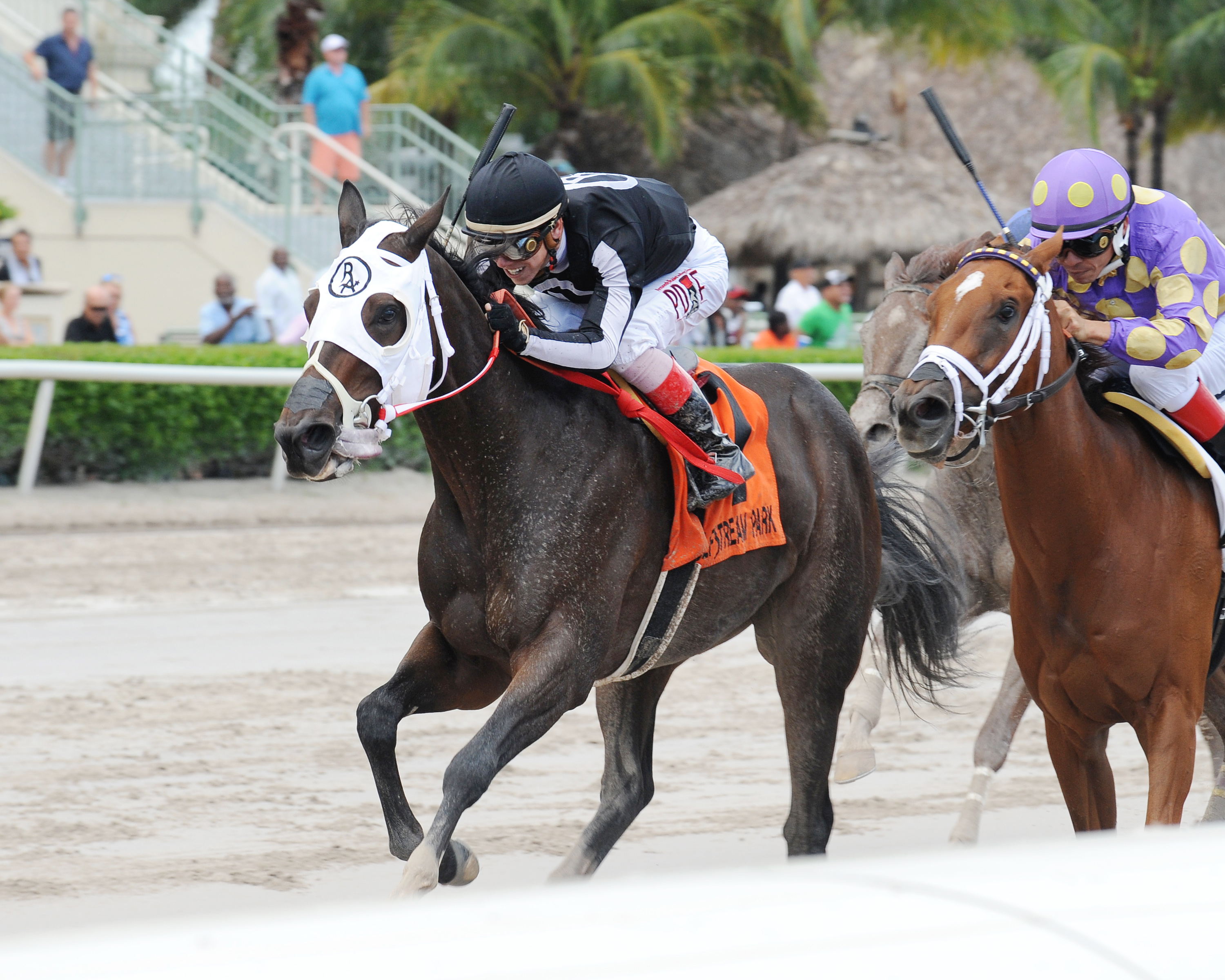 R Kinsley Doll wins the 2017 Jewel Princess Stakes