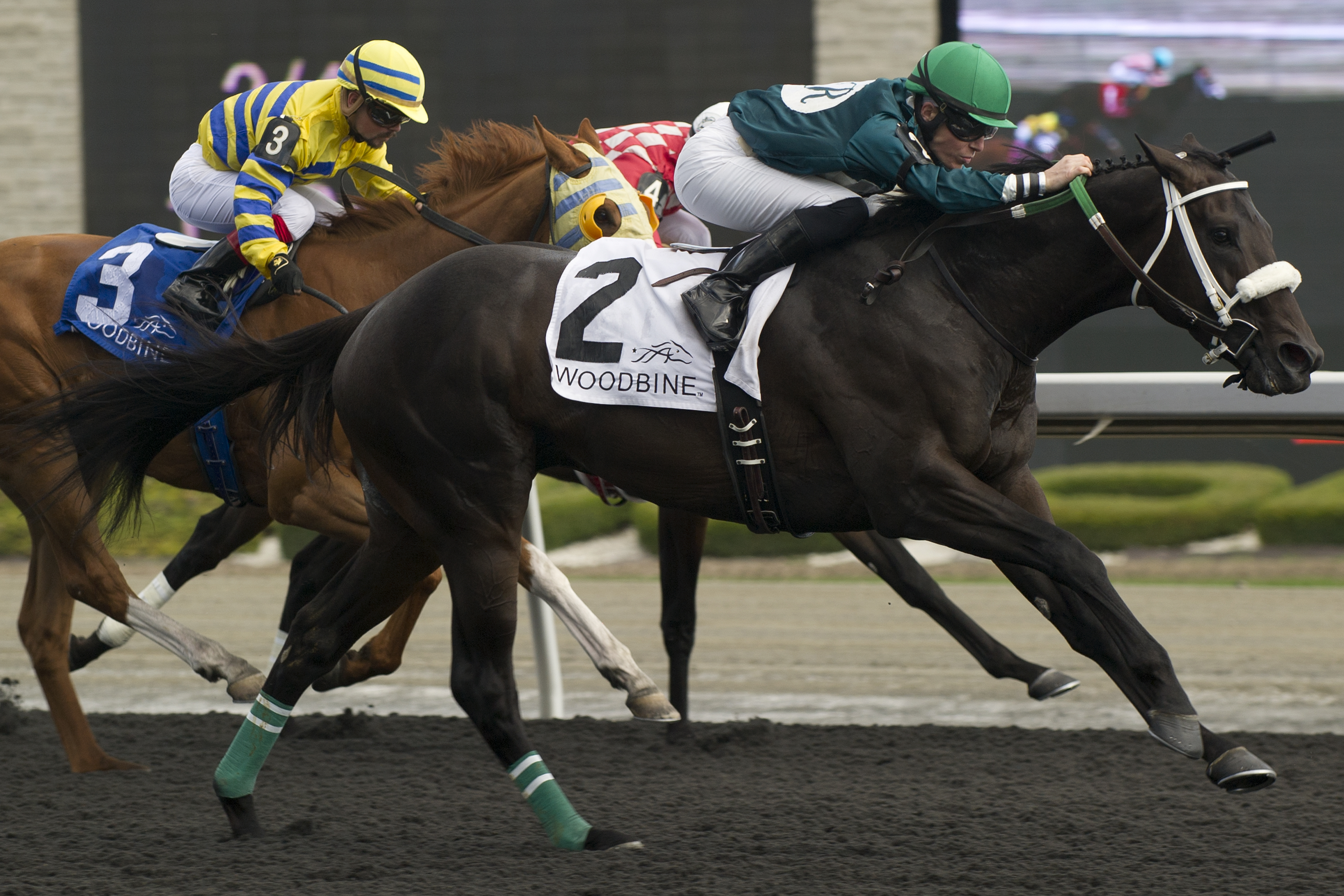R U Watchingbud wins the Queenston Stakes on May 2 at Woodbine.