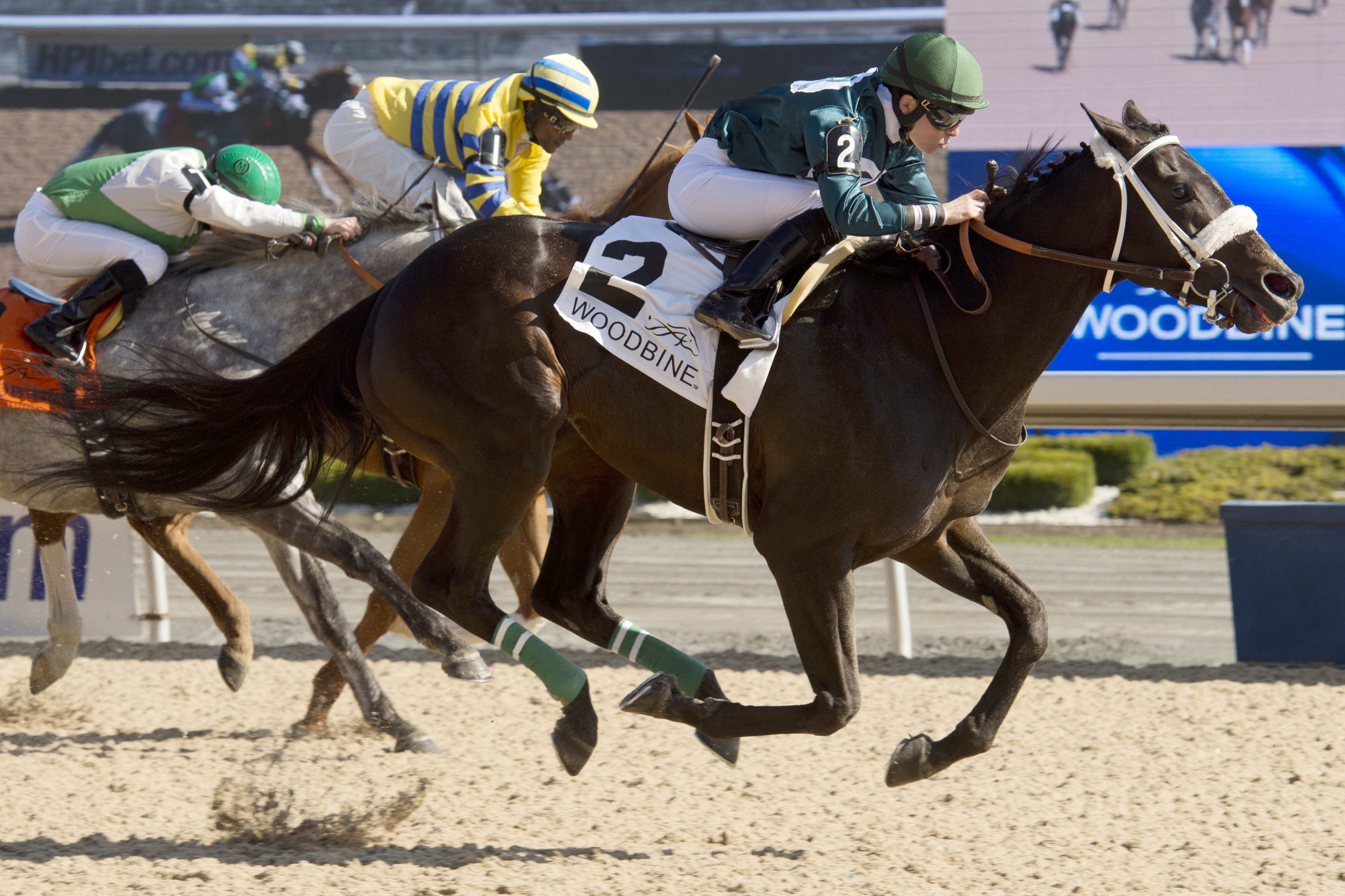 R U Watchingbud wins the New Providence