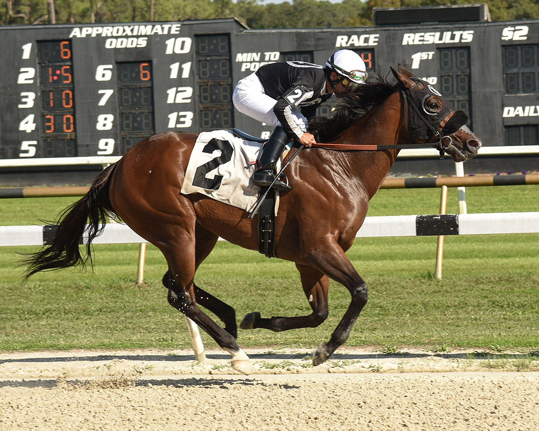 R Adios Jersey wins the 2021 City of Ocala Florida Sire Stakes at Tampa Bay Downs