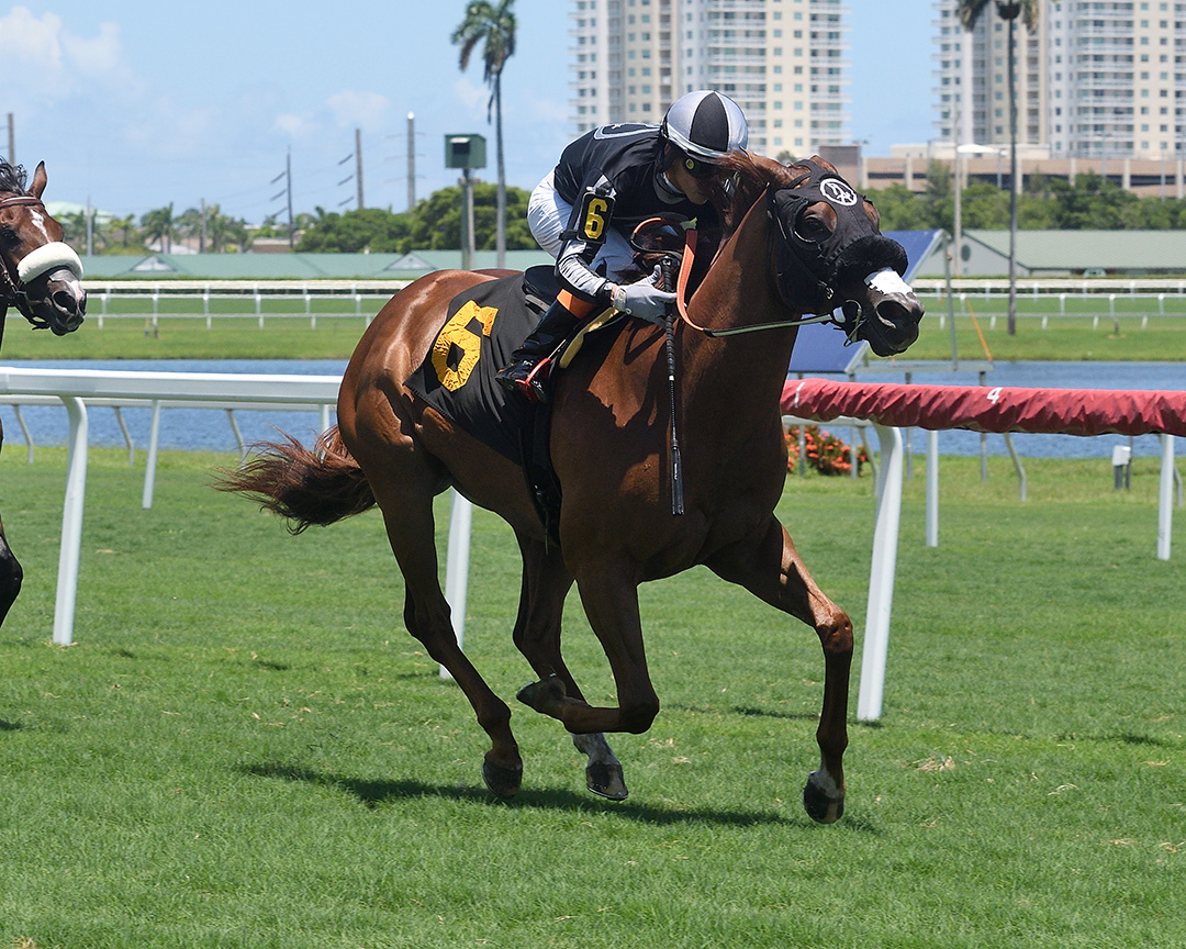 R Man Joe wins an Aug. 8 maiden race at Gulfstream Park