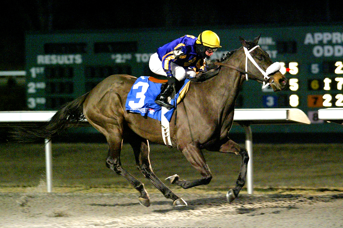 Max Silverhammer 2-19-2011