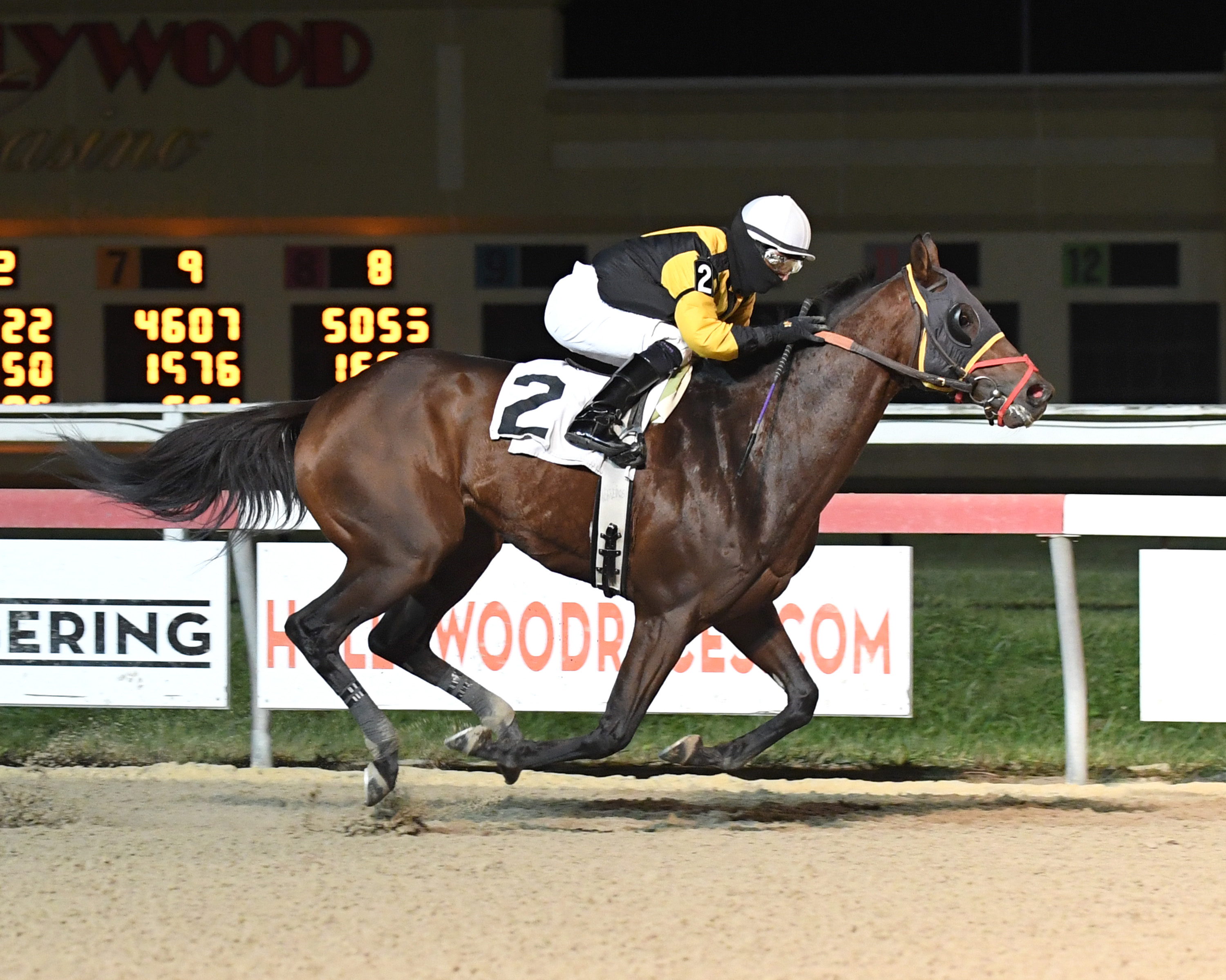 Discreet Lover wins the 2017 Swatara Stakes