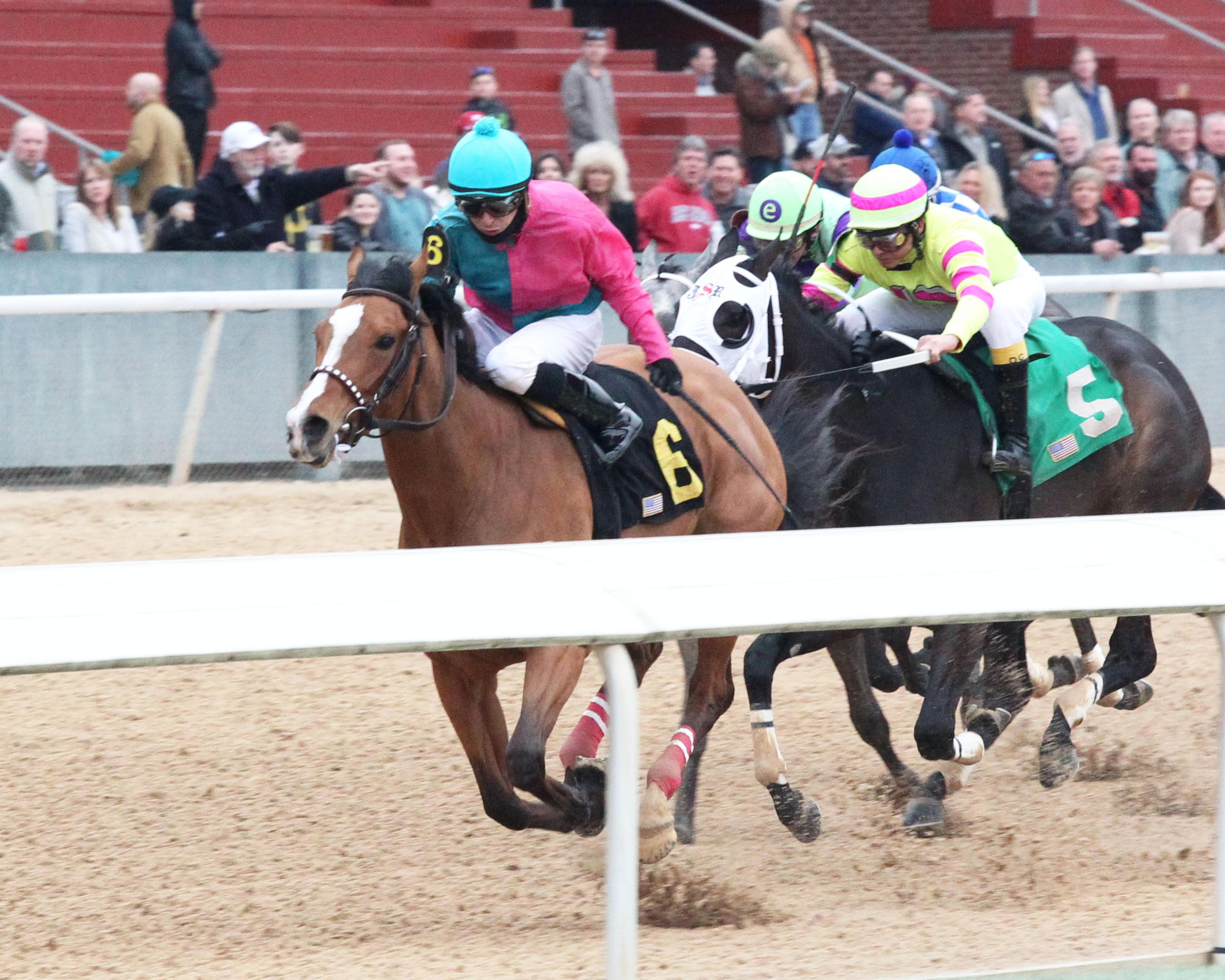 Raintree Starlet wins 2019 Dixie Belle
