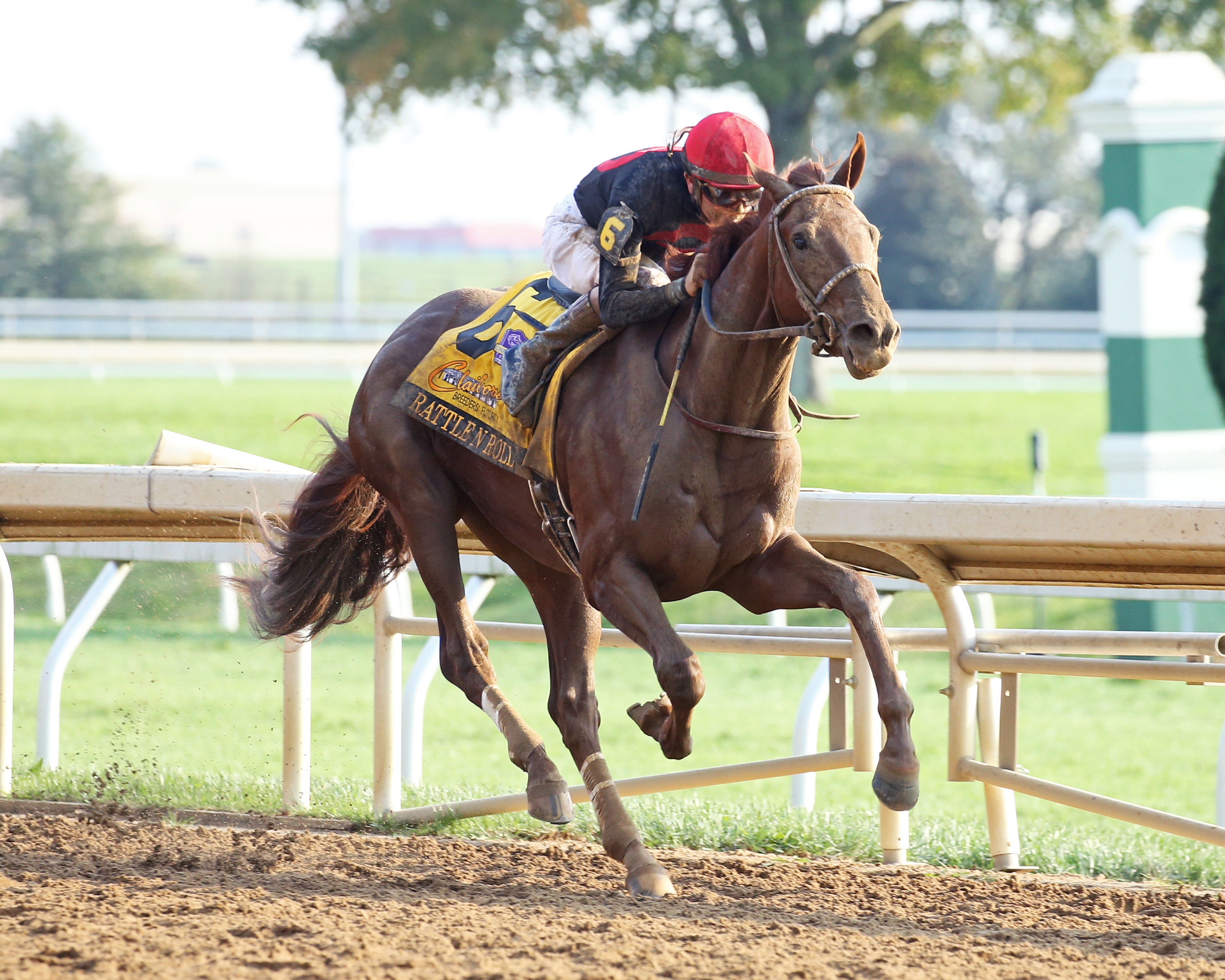 Rattle N Roll - Breeders' Futurity S. 2021