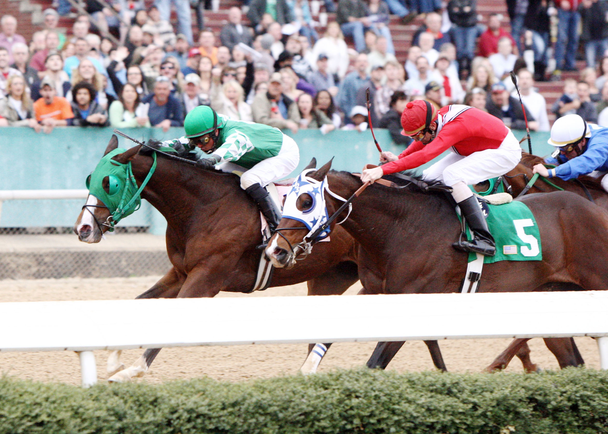Rattlesnake Holler, Rainbow Stakes
