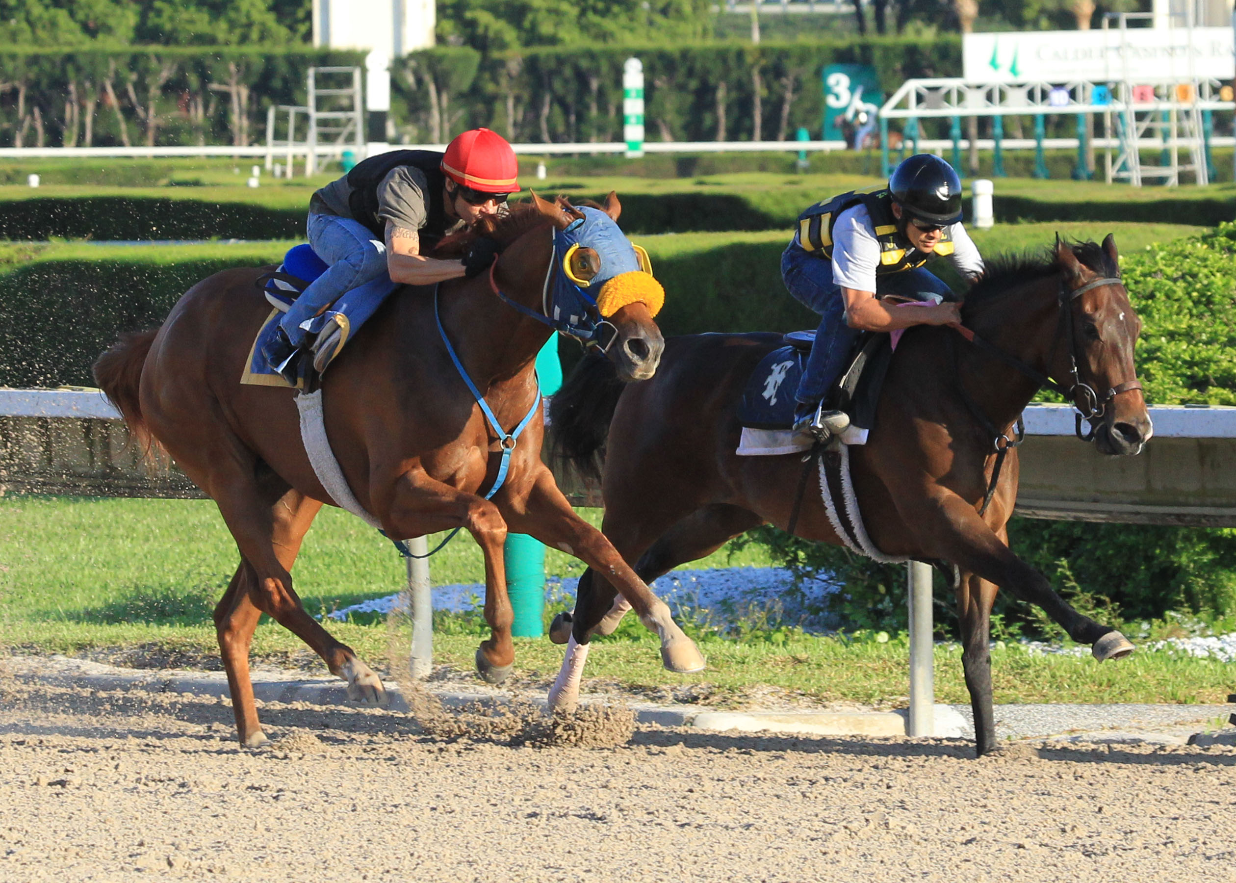 Ravelo's Boy 5-27-2012