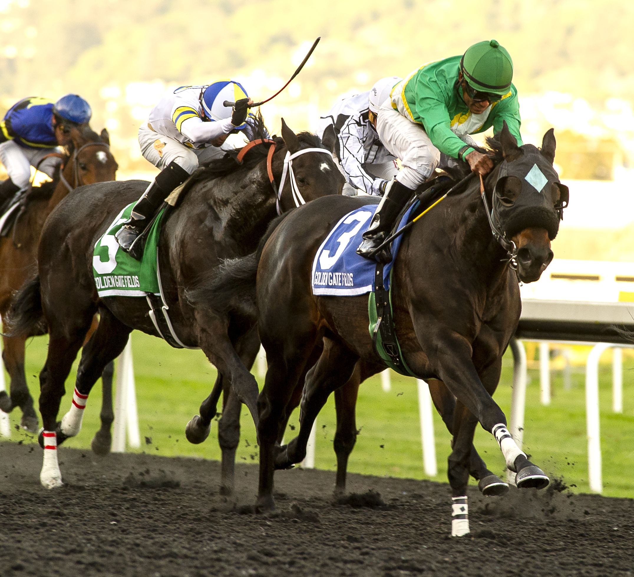 Rebalation wins Bear Fan 12-11-2021