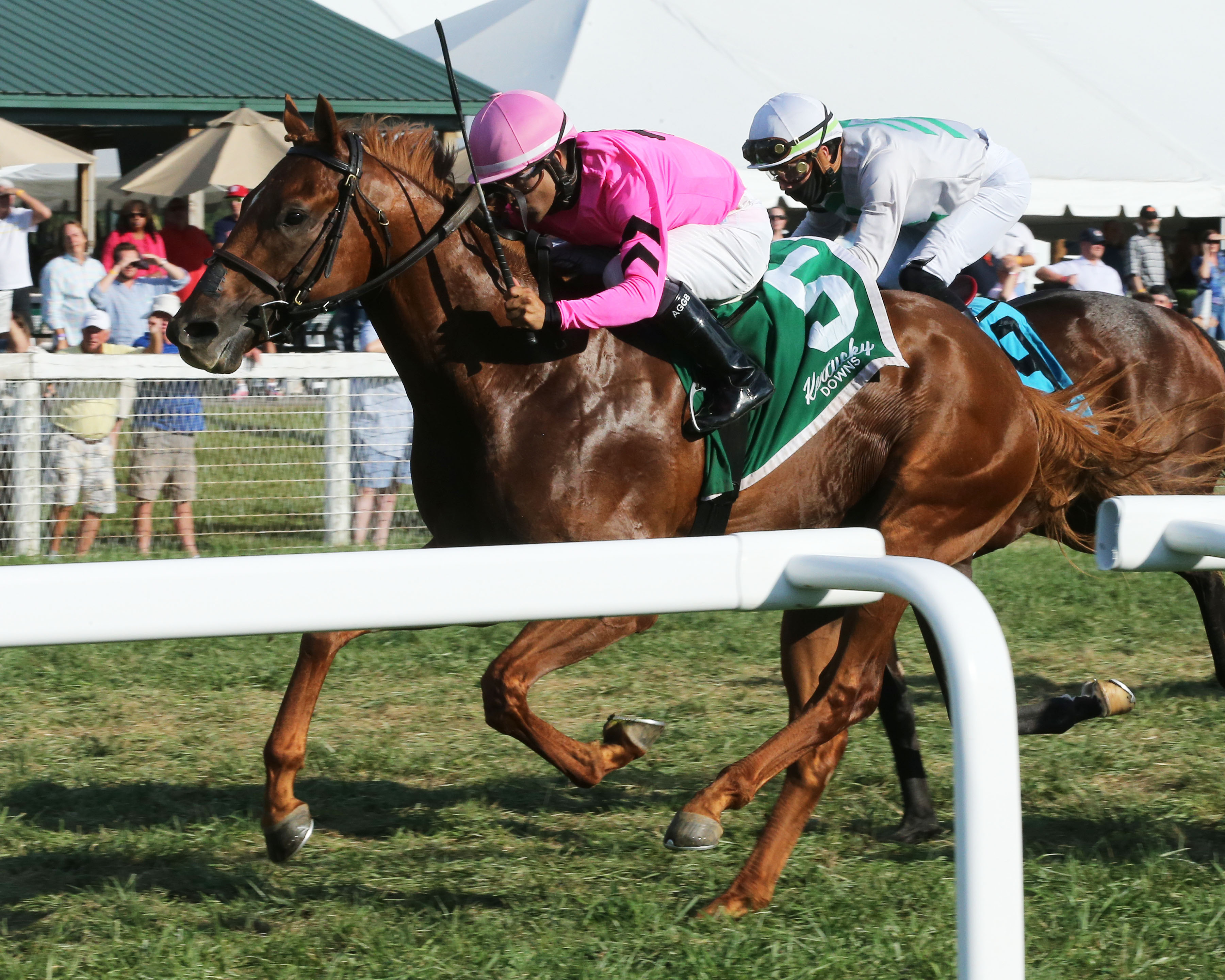 RED DANGER - The Global Tote Juvenile Sprint - 4th Running - Coaady Photo