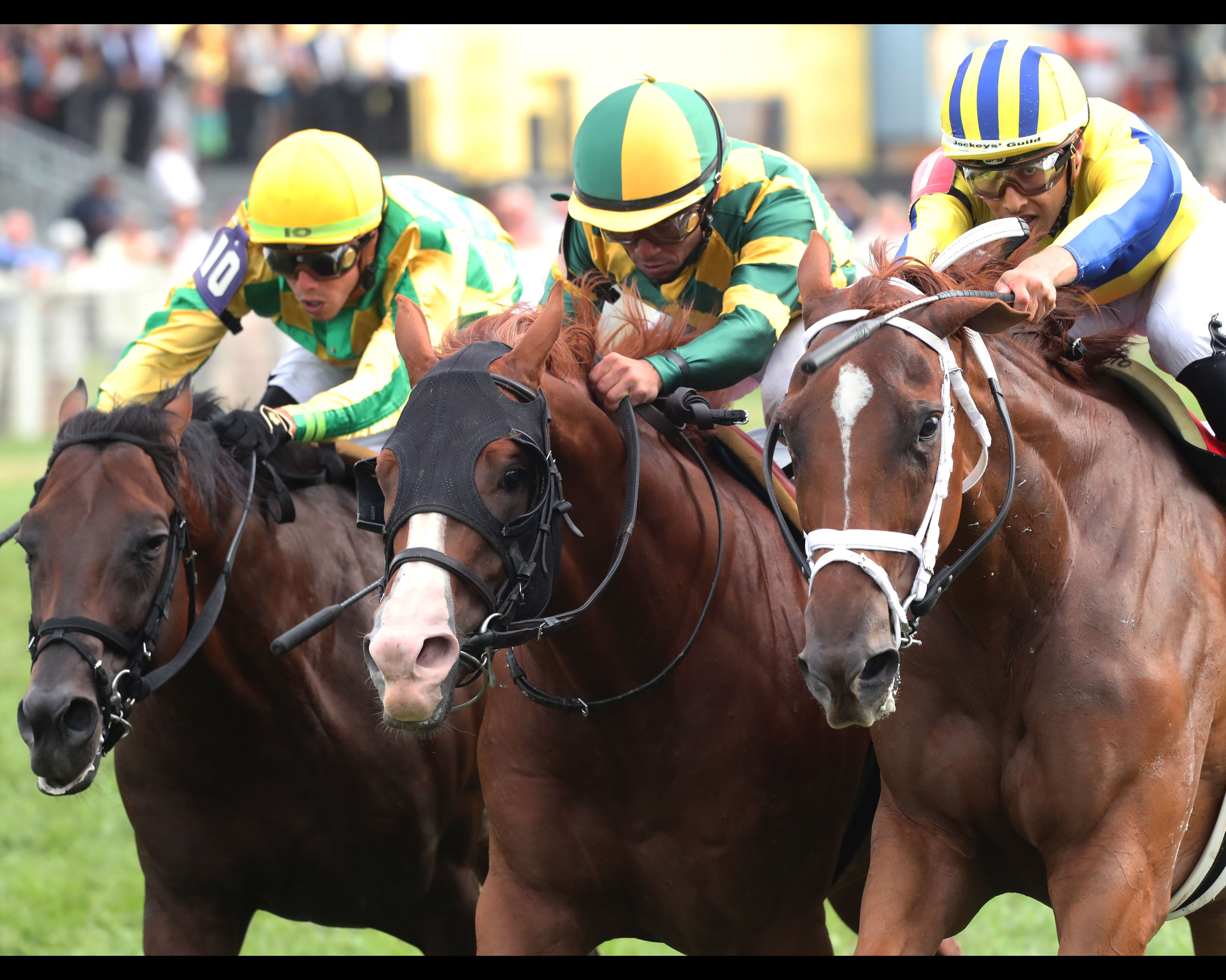 Red Knight - Kentucky Turf Cup 2022