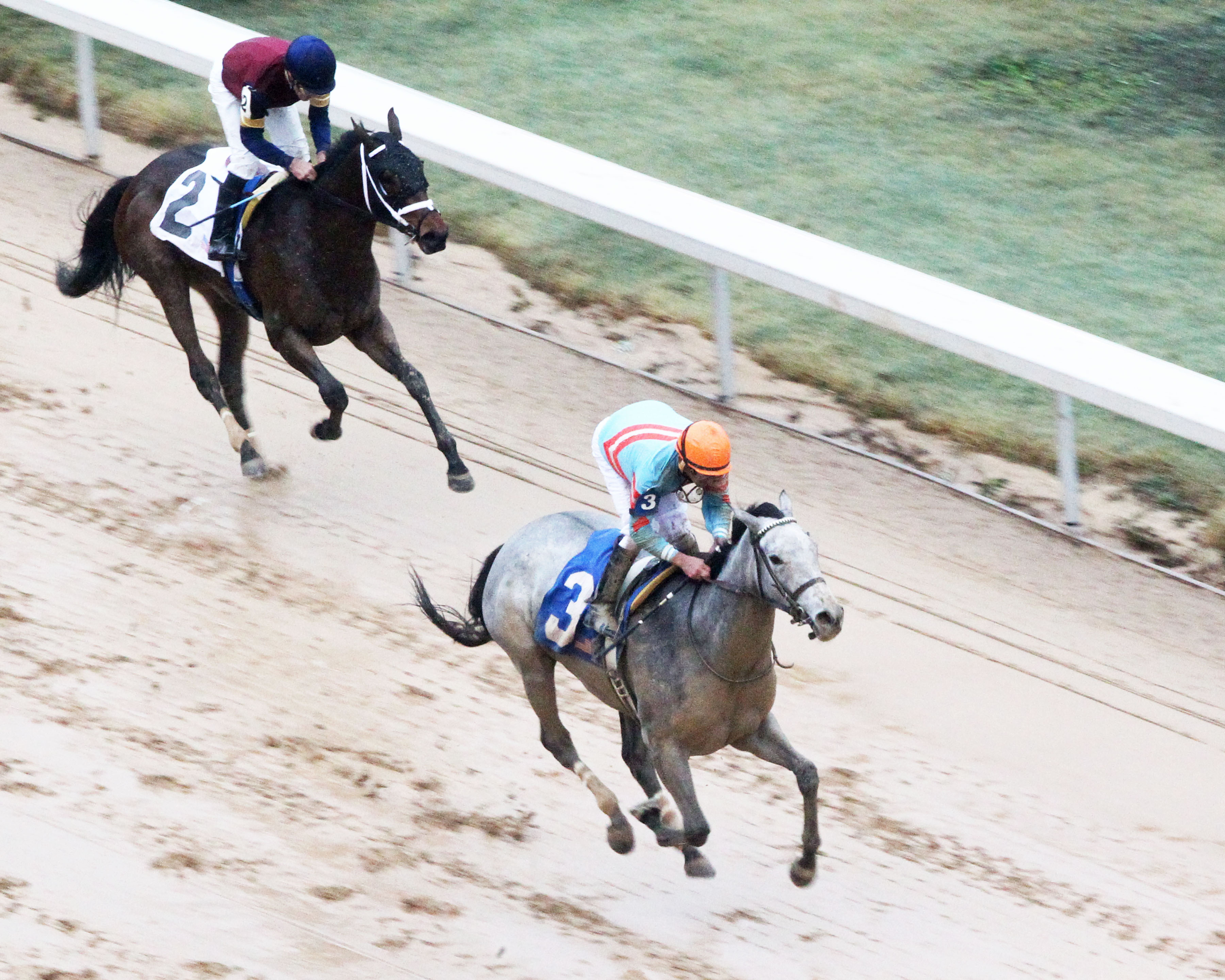 Red Ruby wins the 2018 Martha Washington
