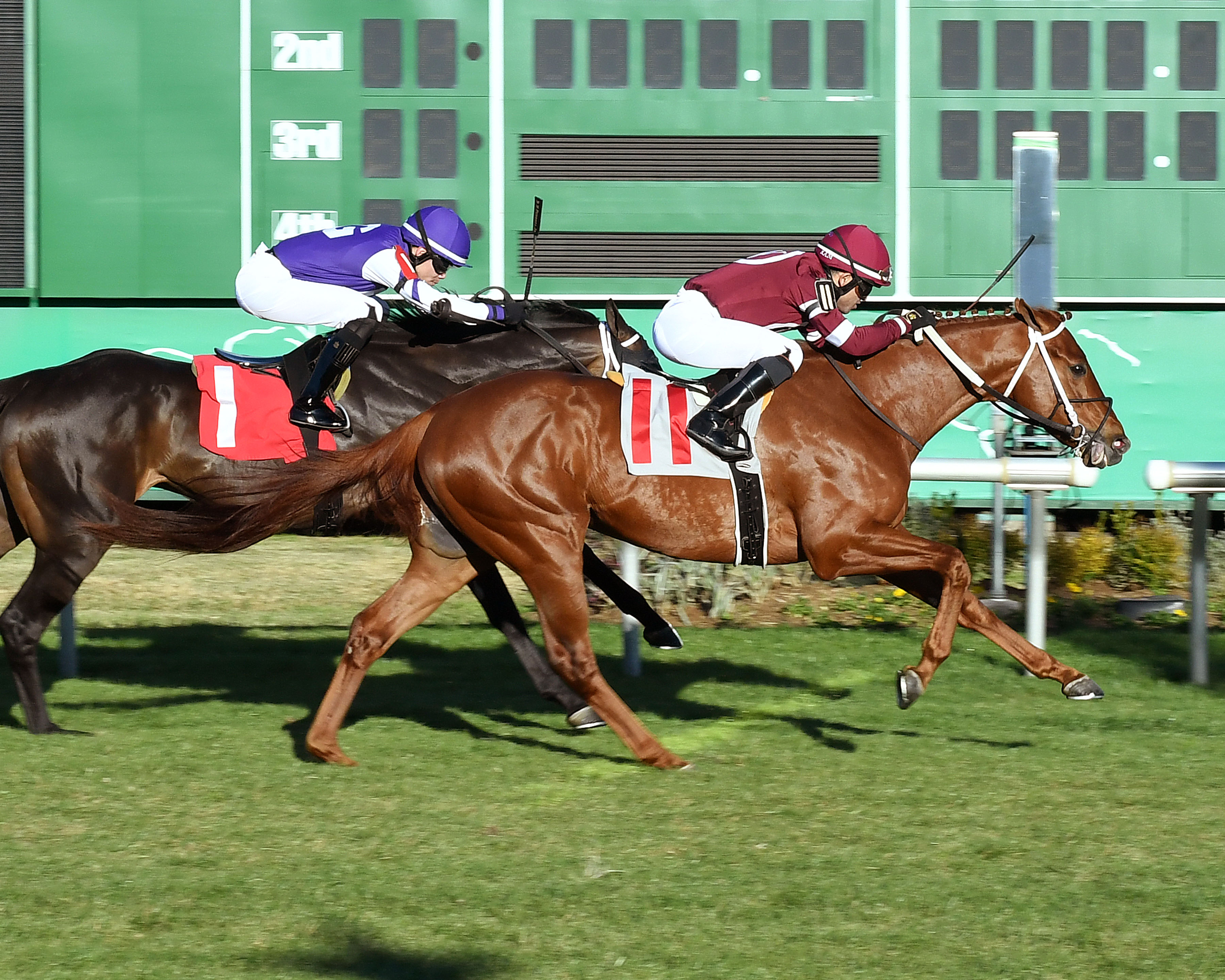 Red Run (11) wins Texas Turf Mile 1-30-2022