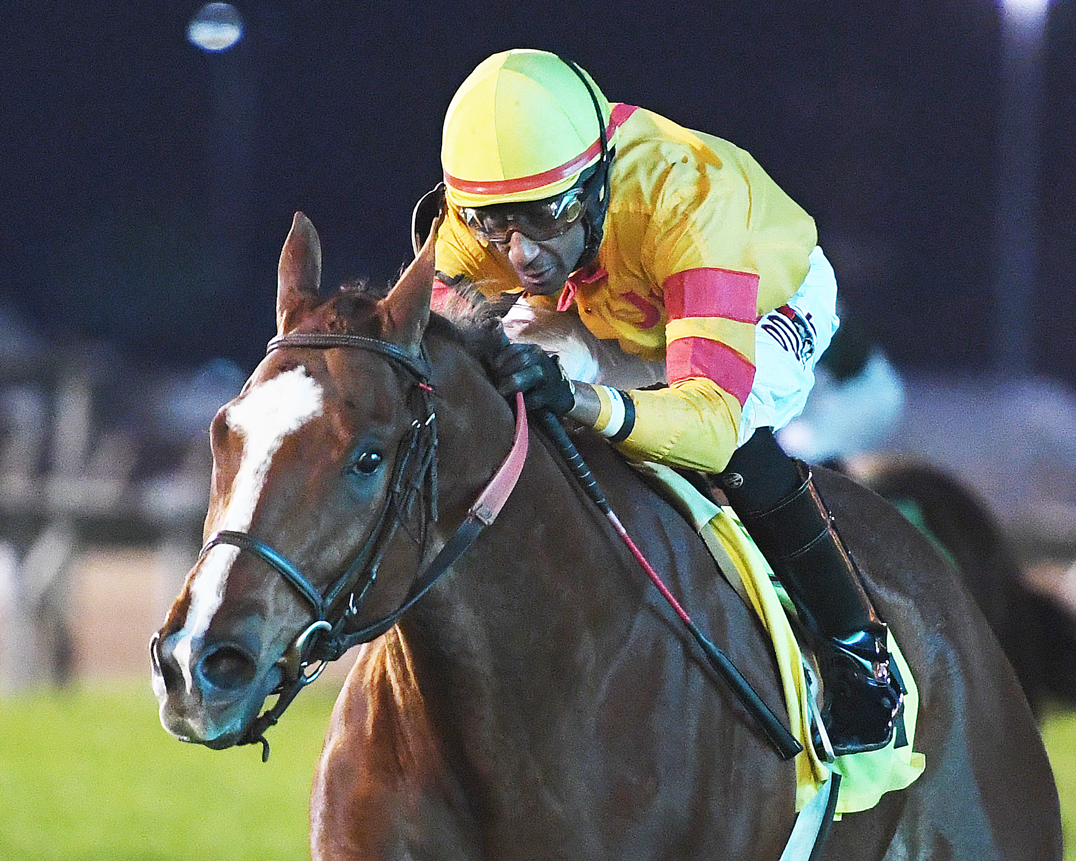 Redatory wins the 2020 Houston Turf Stakes