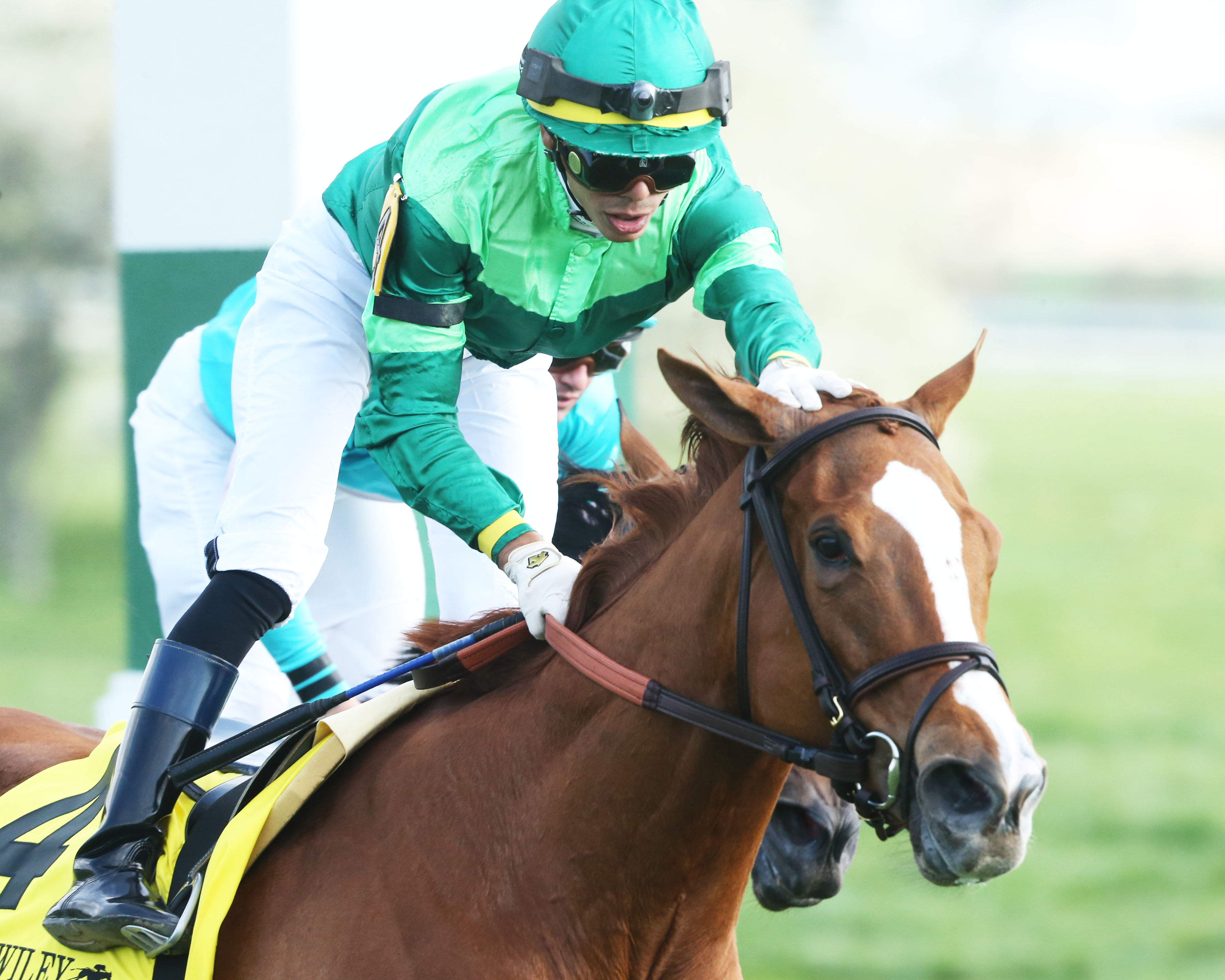 REGAL GLORY - The Jenny Wiley G1 - 34th Running