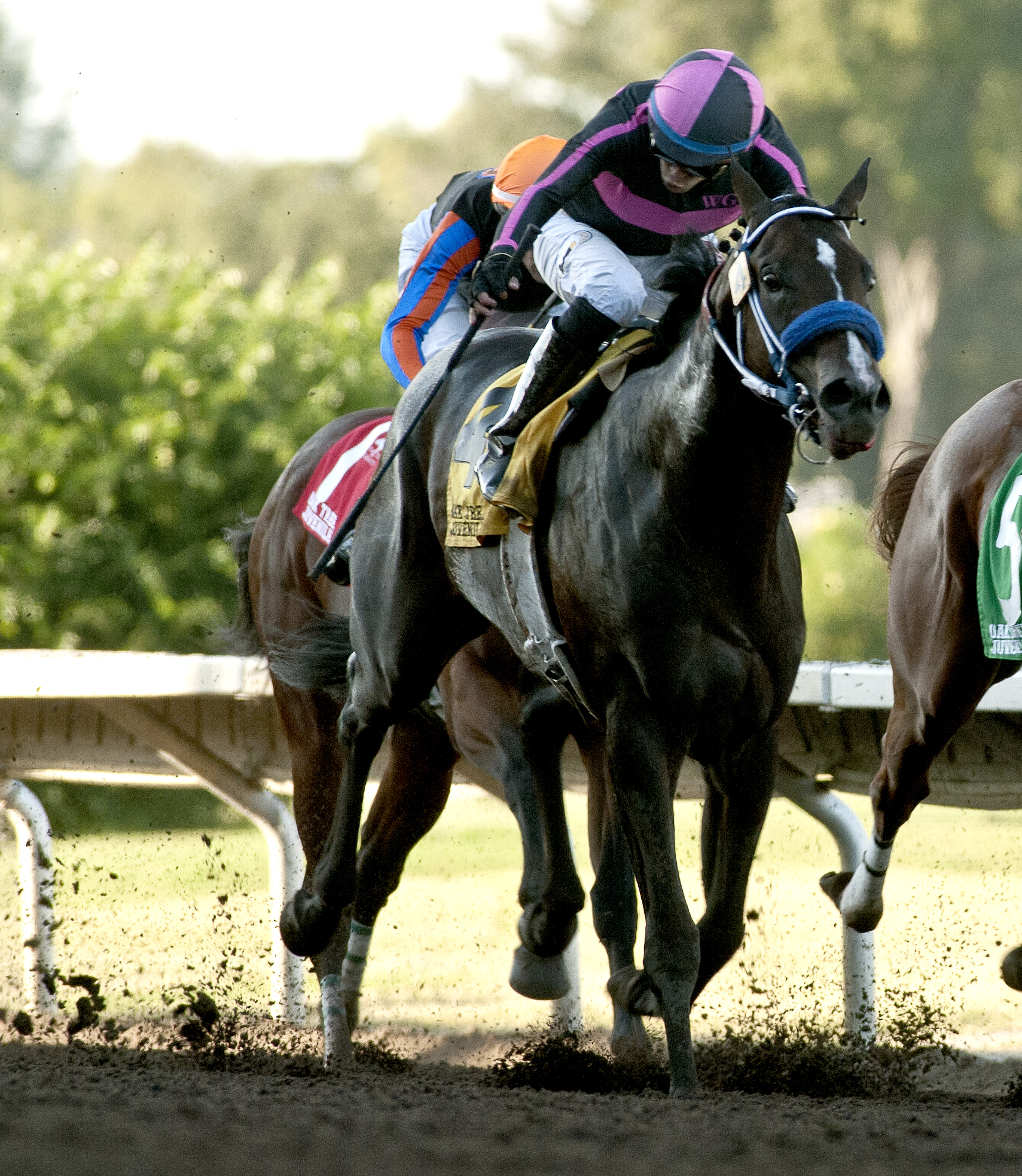 Respect the Hustle wins the 2017 Oak Tree Juvenile Stakes