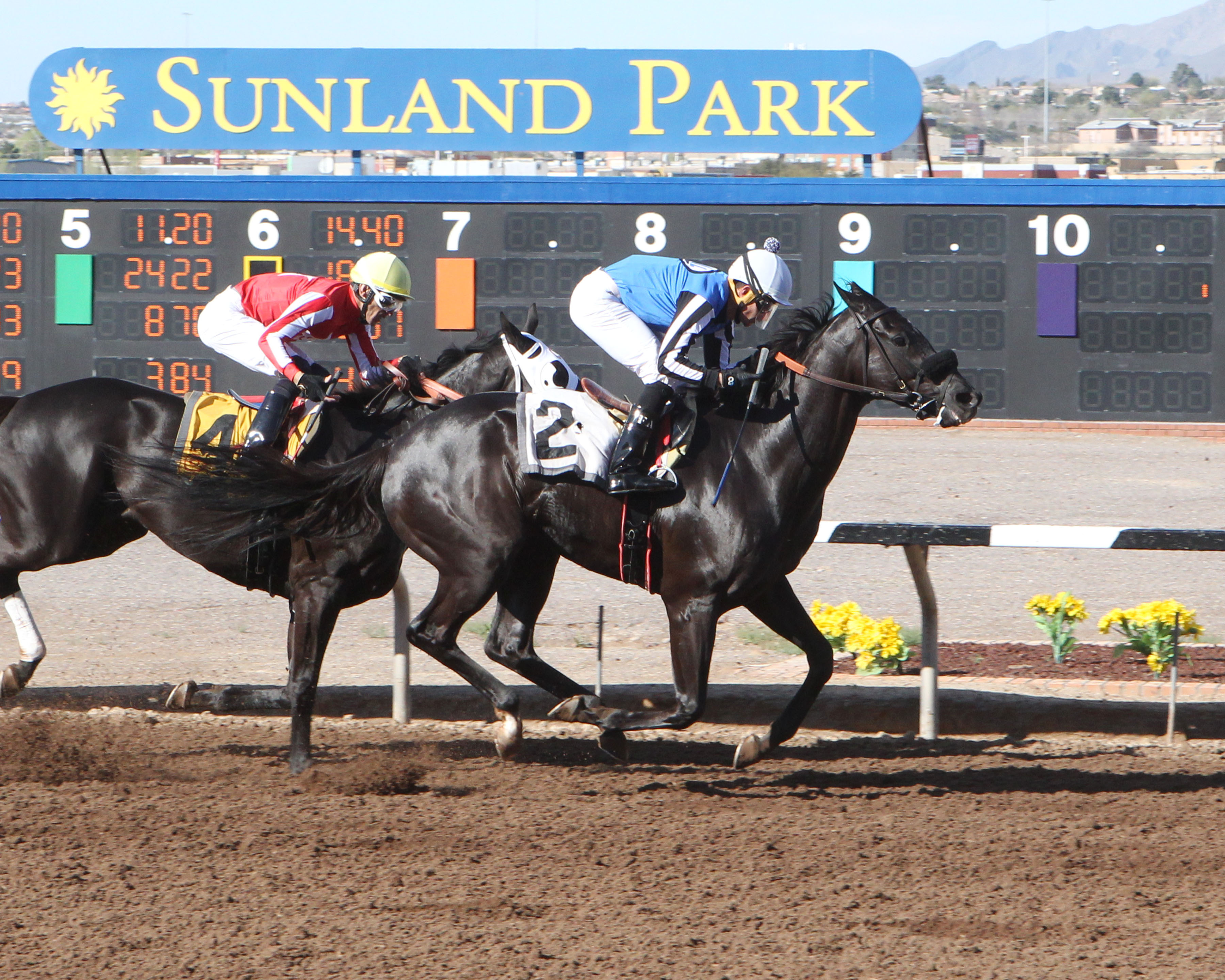 Restrainedvengence wins the 2020 Curribot Handicap
