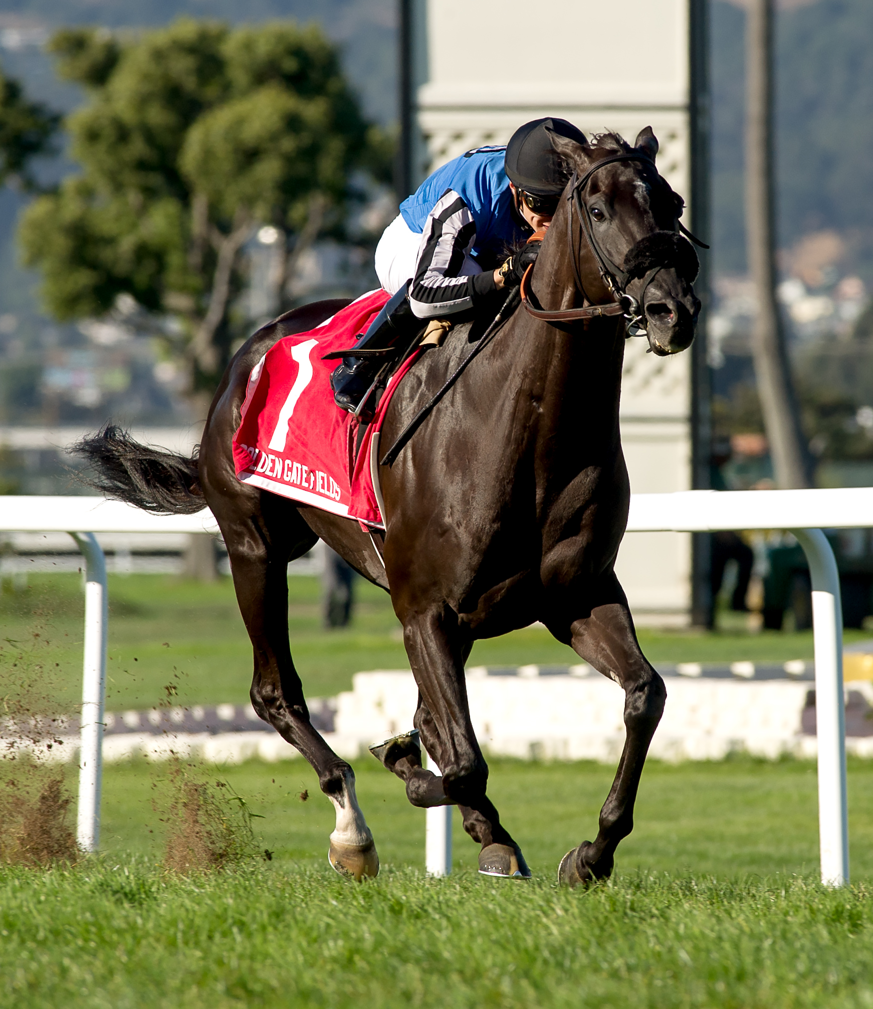 Restrainedvengence wins the 2019 Rolling Green