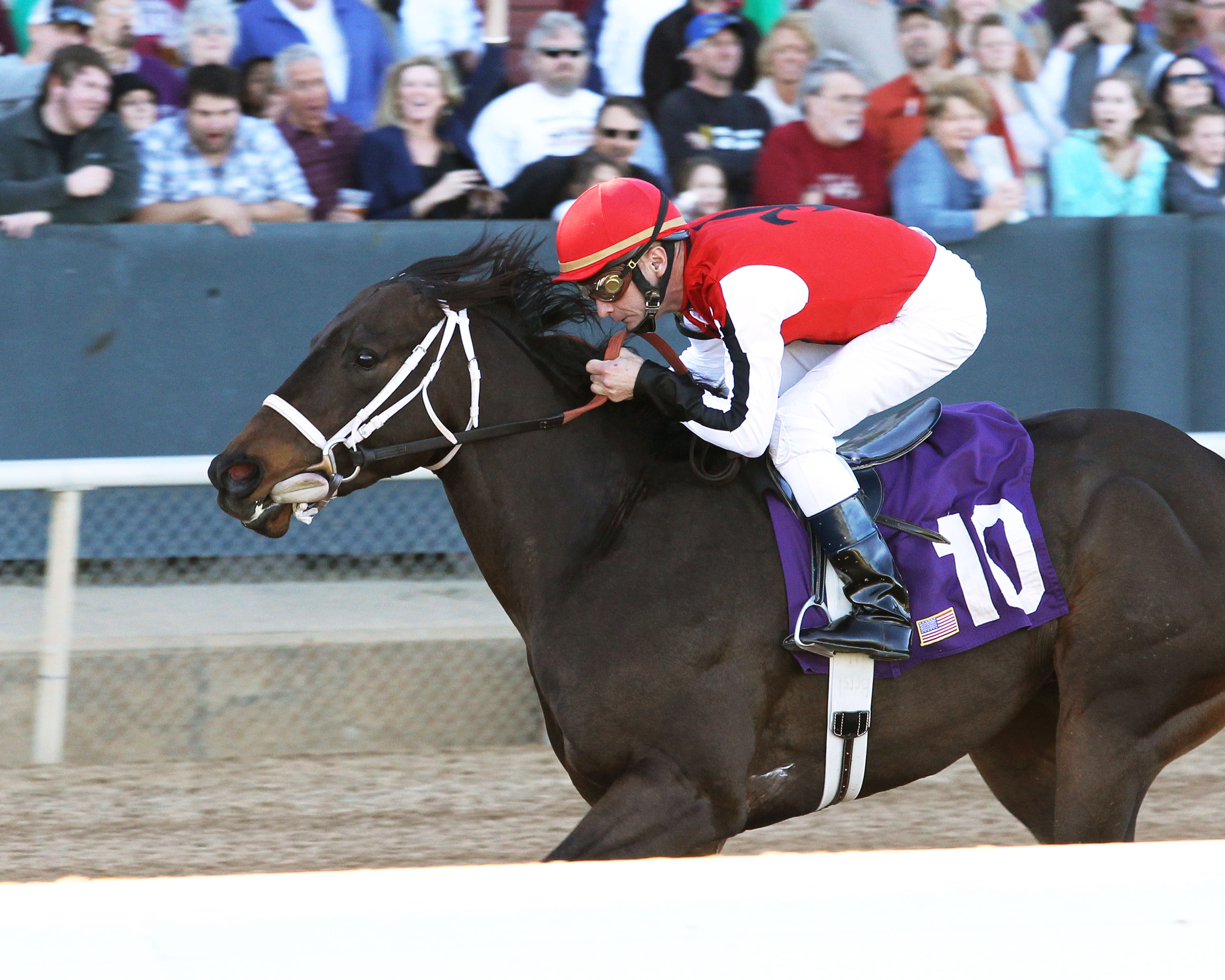 Ride On Curlin