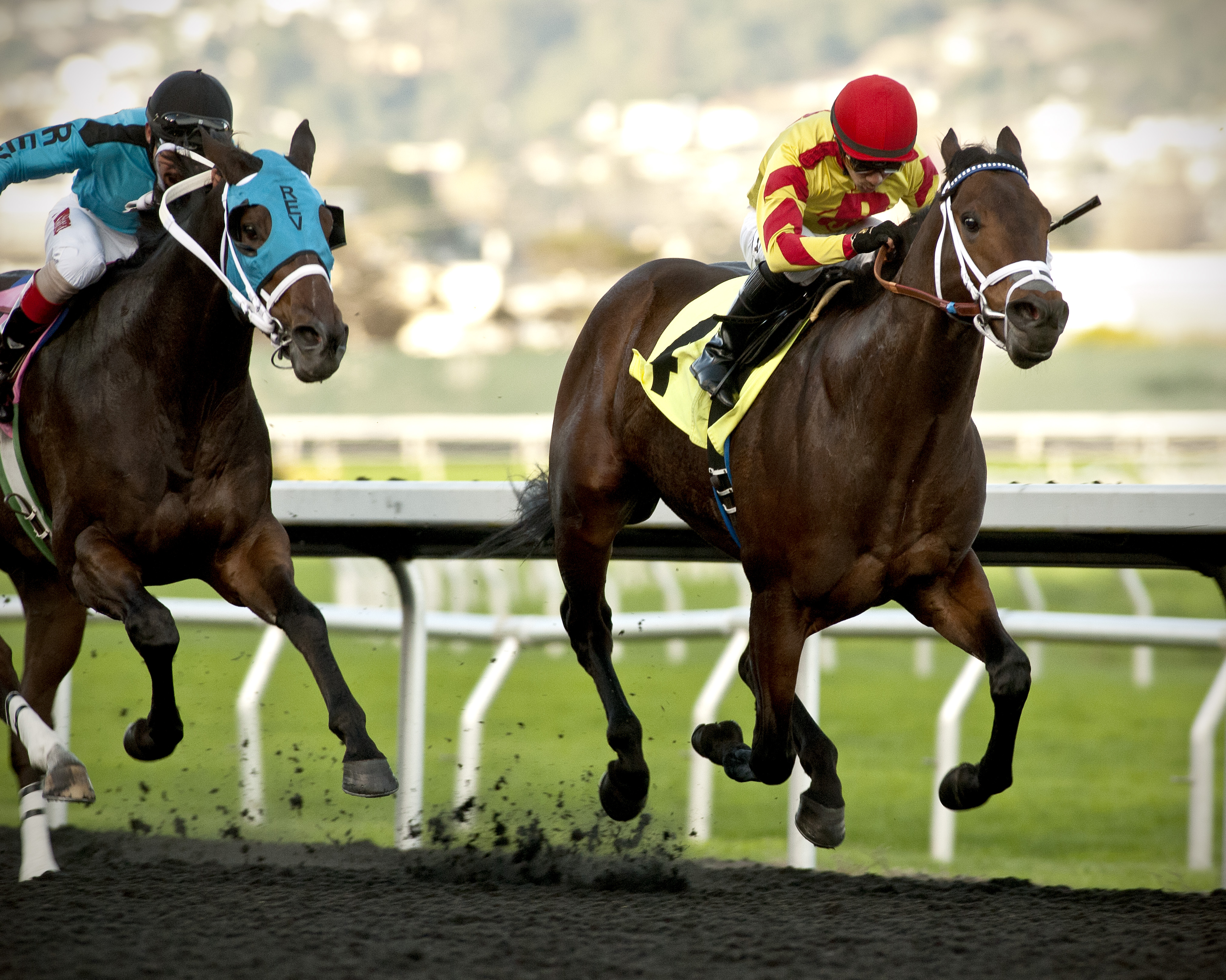 Right Hand Man wins the 2017 Oakland Stakes