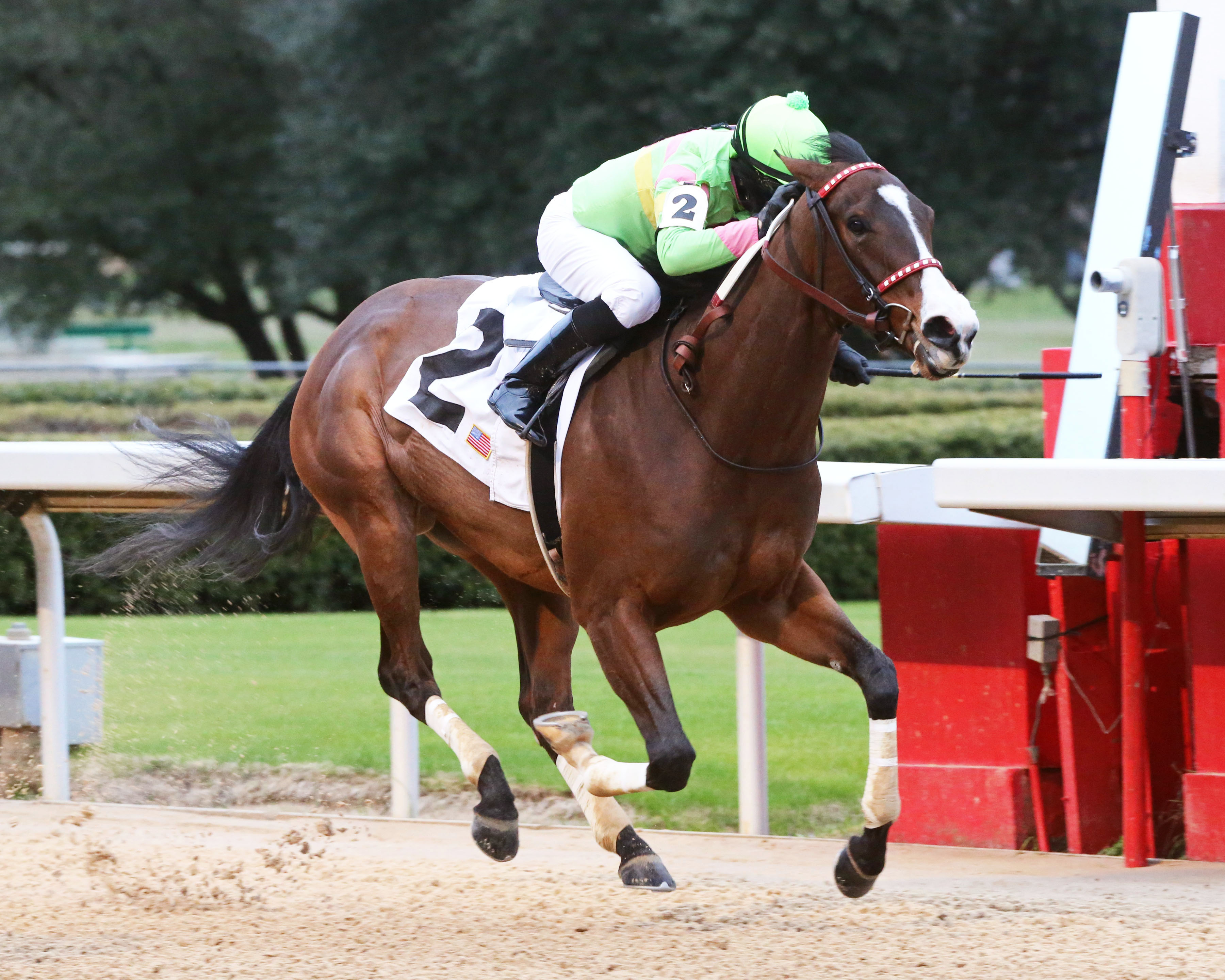 Ring Leader wins the 2020 Dixie Belle Stakes