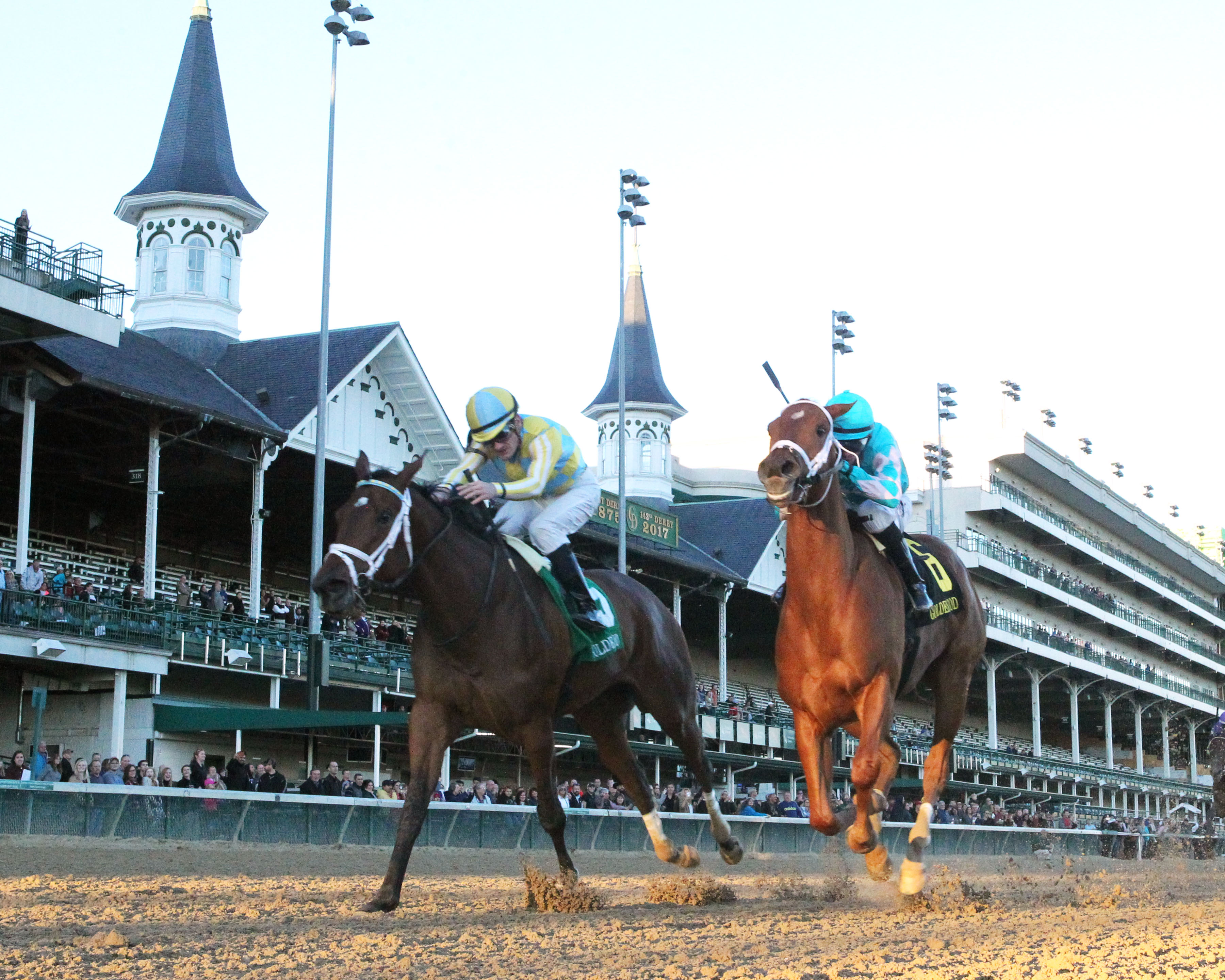 Road to Victory wins 2017 Golden Rod