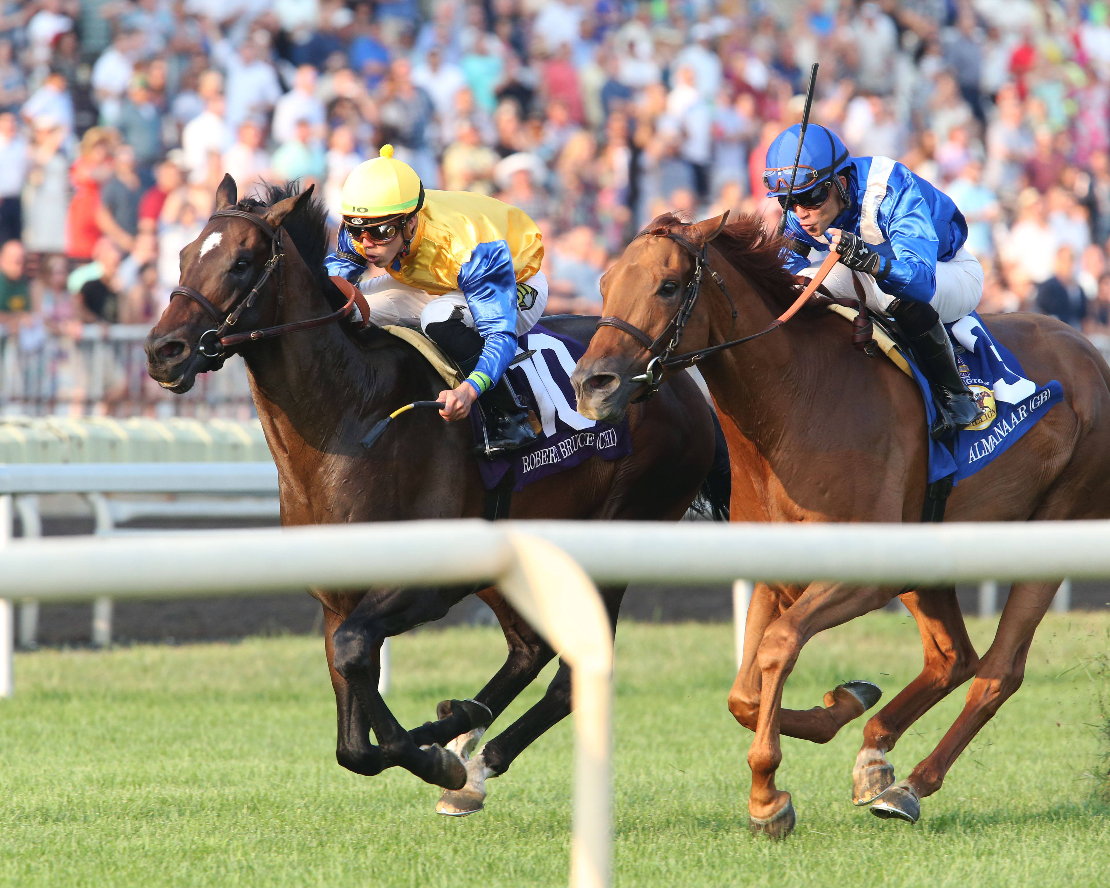Robert Bruce wins 2018 Arlington Million