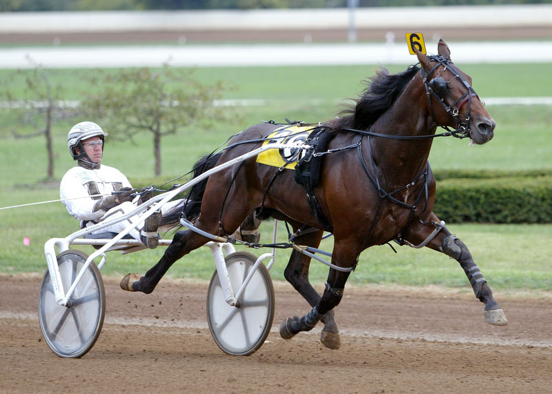 Rocknroll Hanover