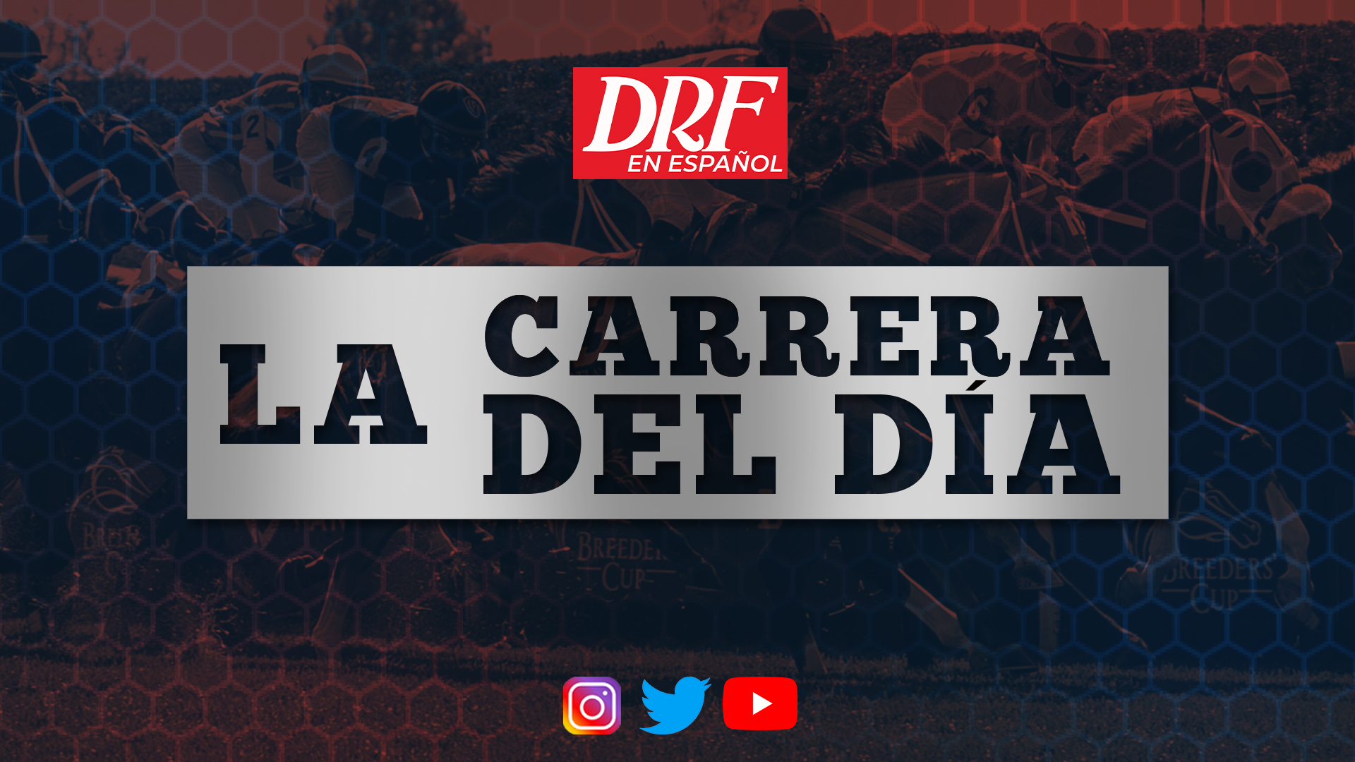 ROD - DRF en Espanol
