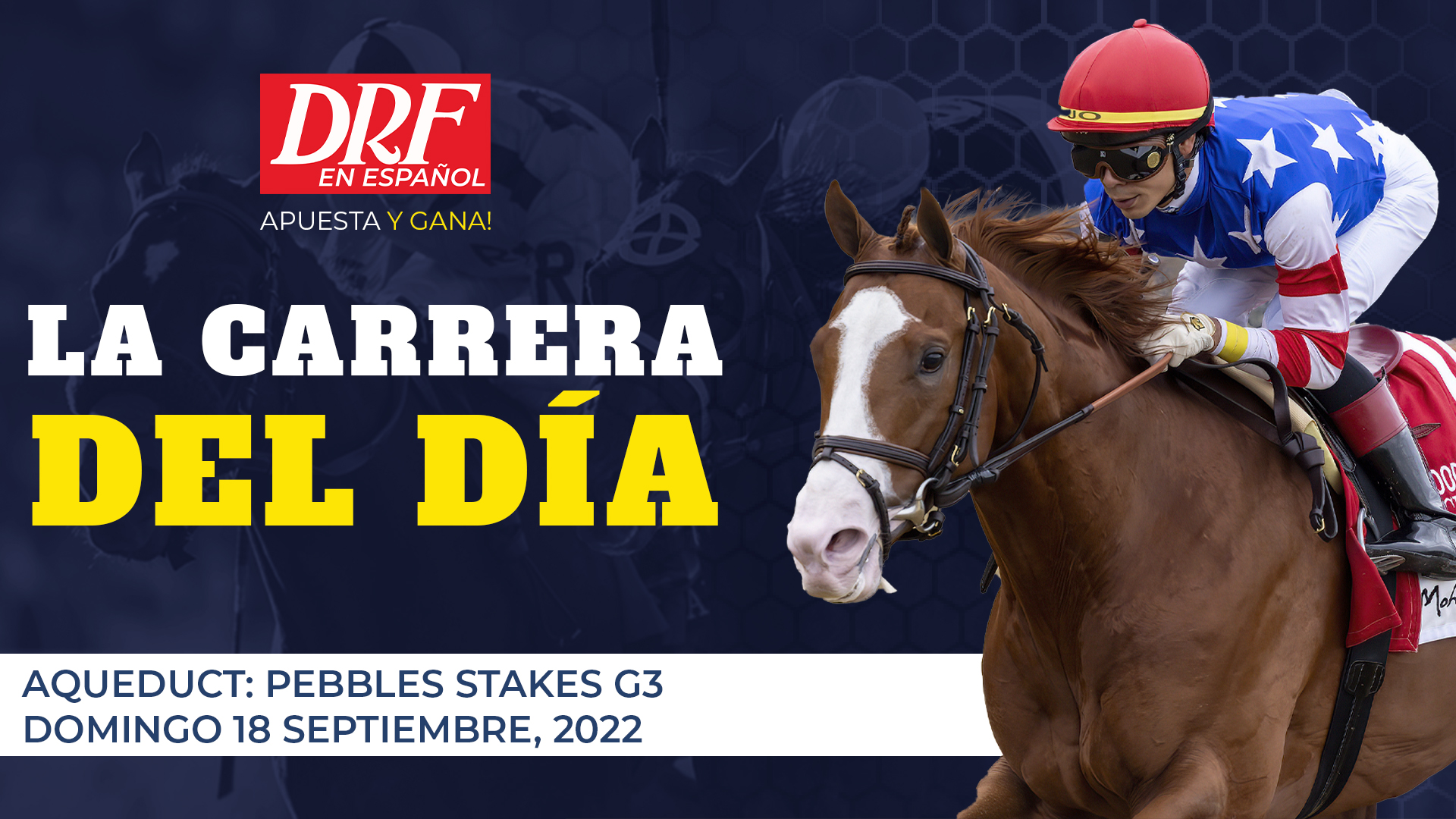 ROD220918