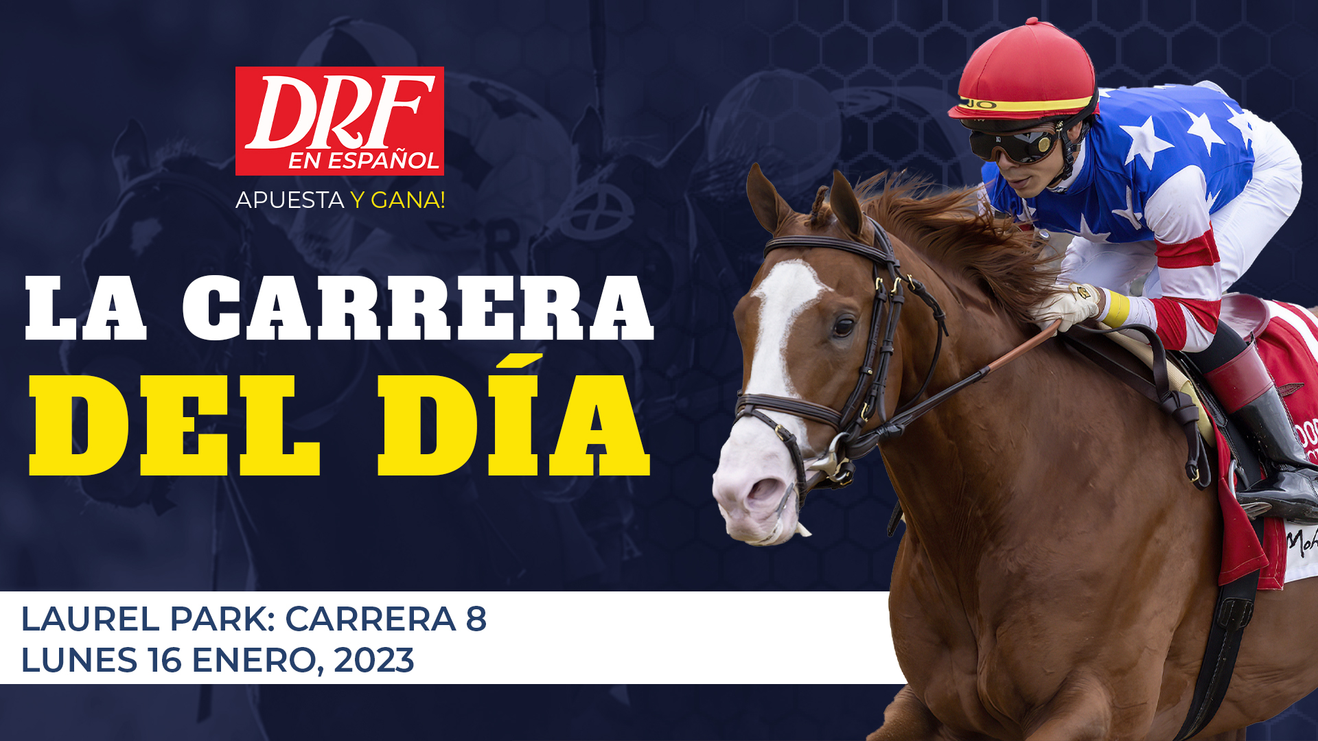 ROD230116