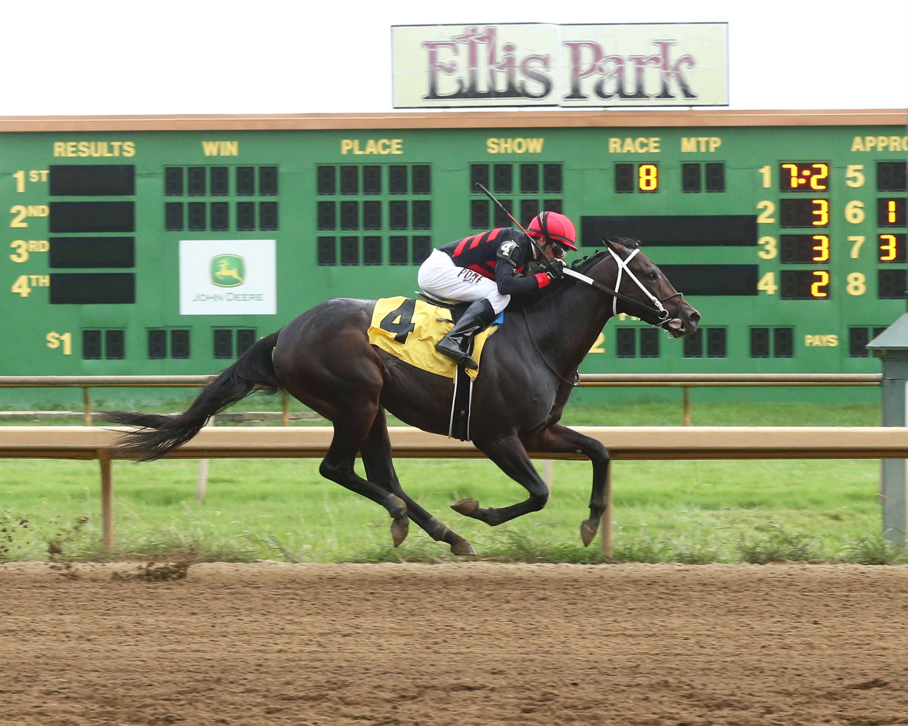 Rowdy Yates wins the 2019 Ellis Park Juvenile