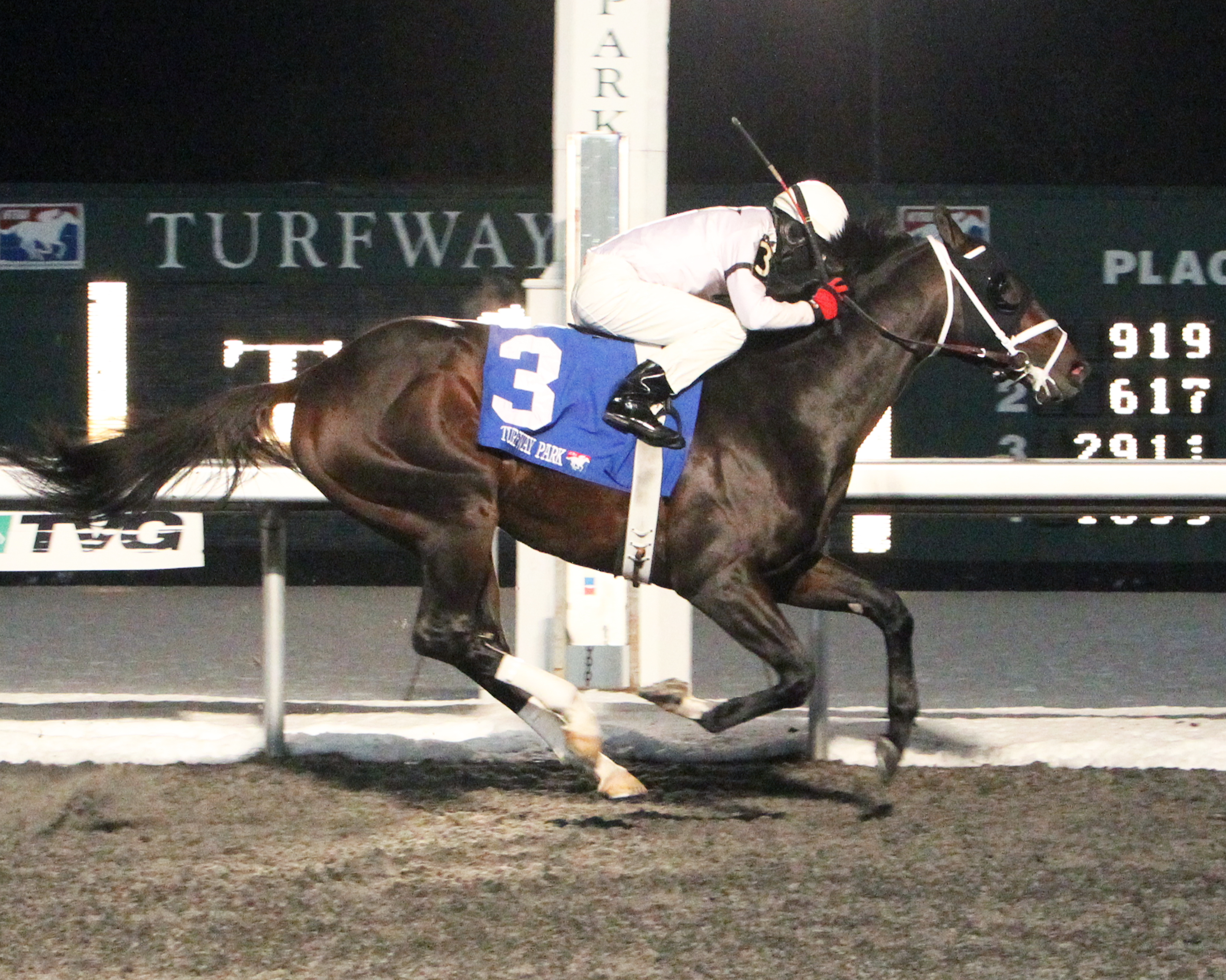Royal Son scores 8-1 upset in Battaglia