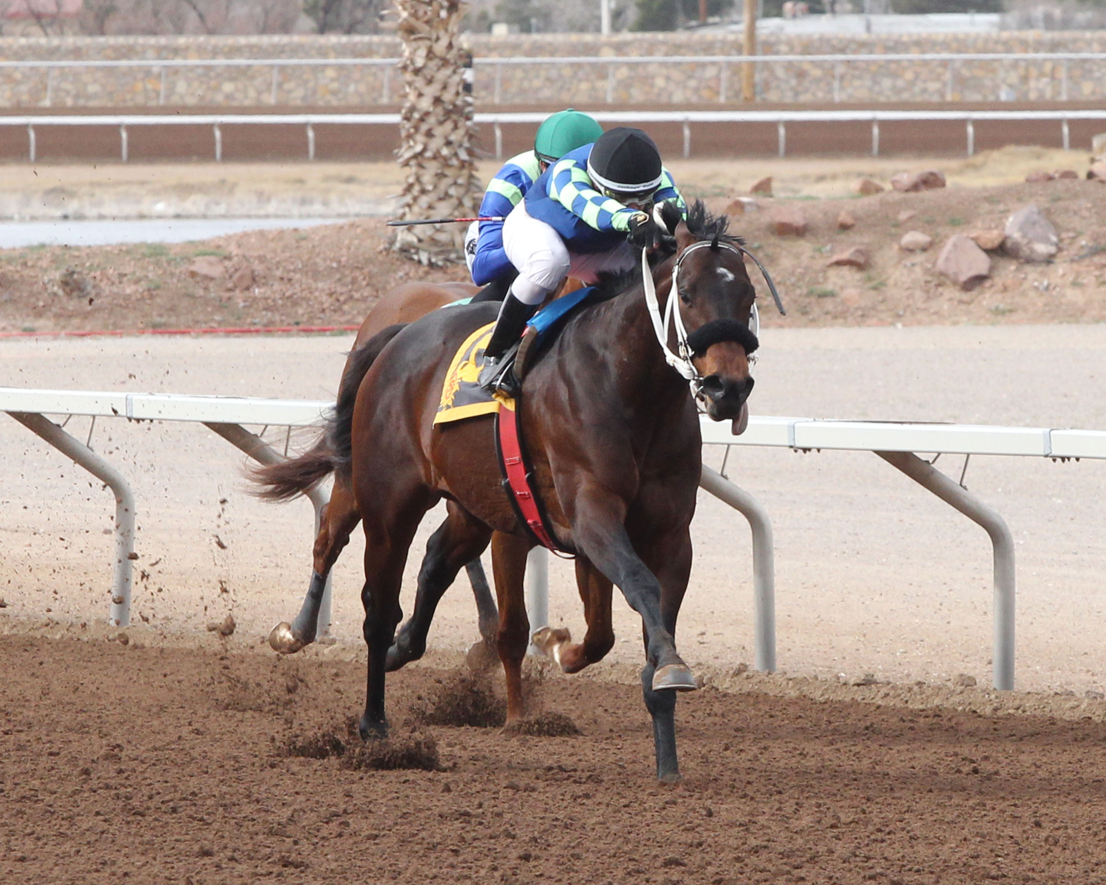 Runaway Ghost wins 2019 Fort Bliss