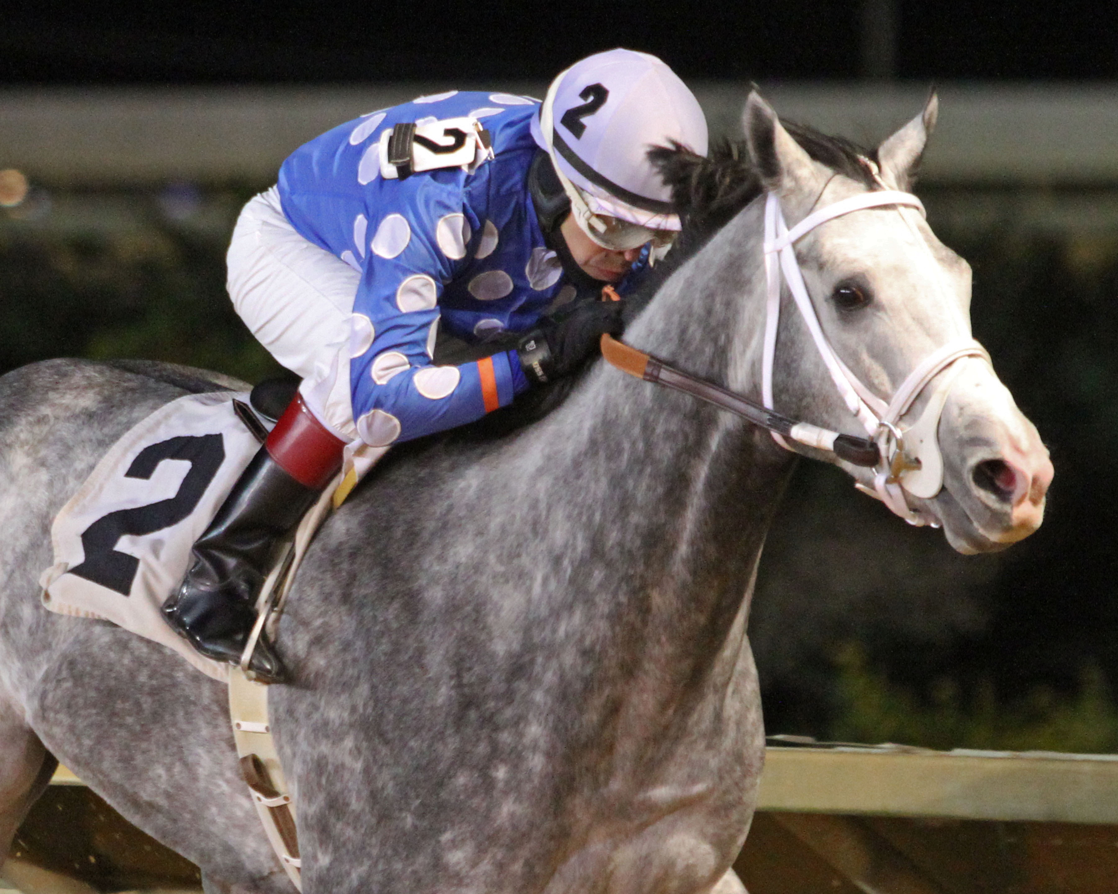 Runnin'toluvya wins 2018 A Huevo