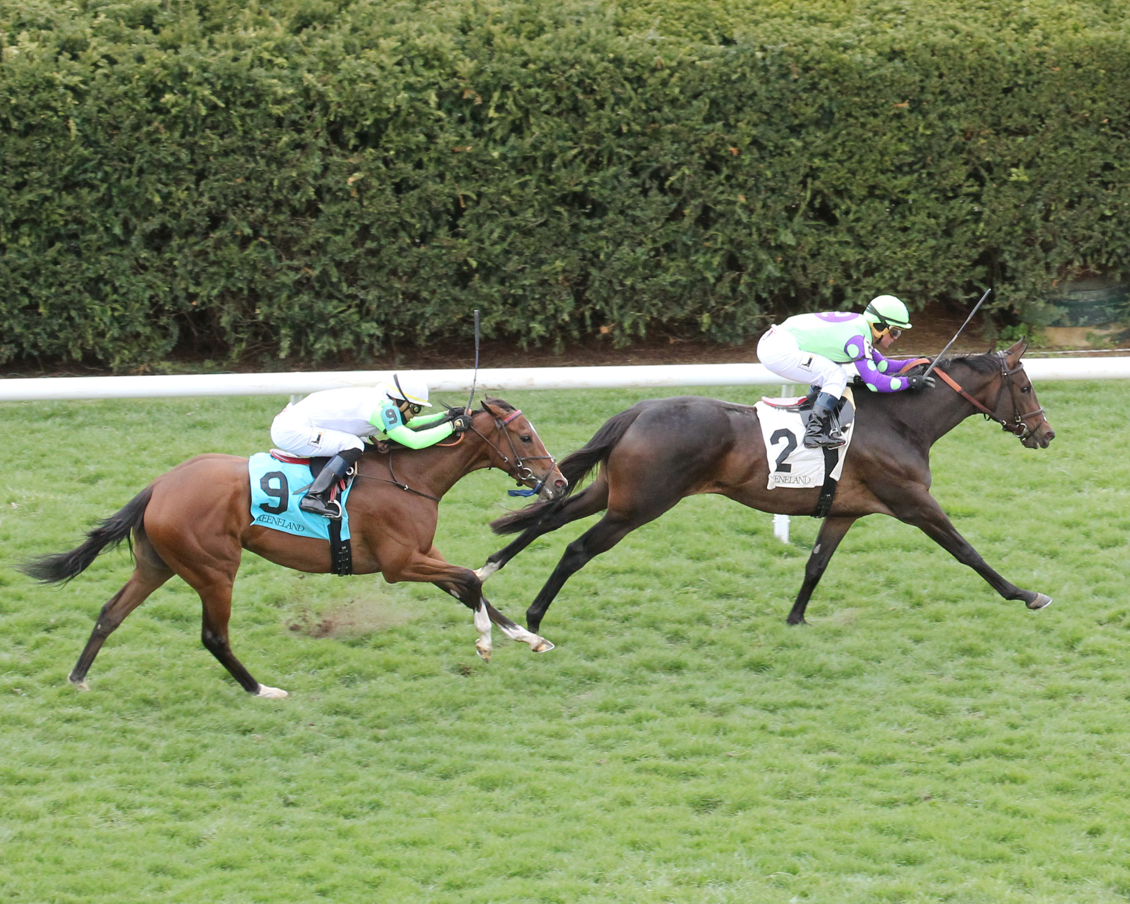 Rushing Fall wins 2018 Appalachian