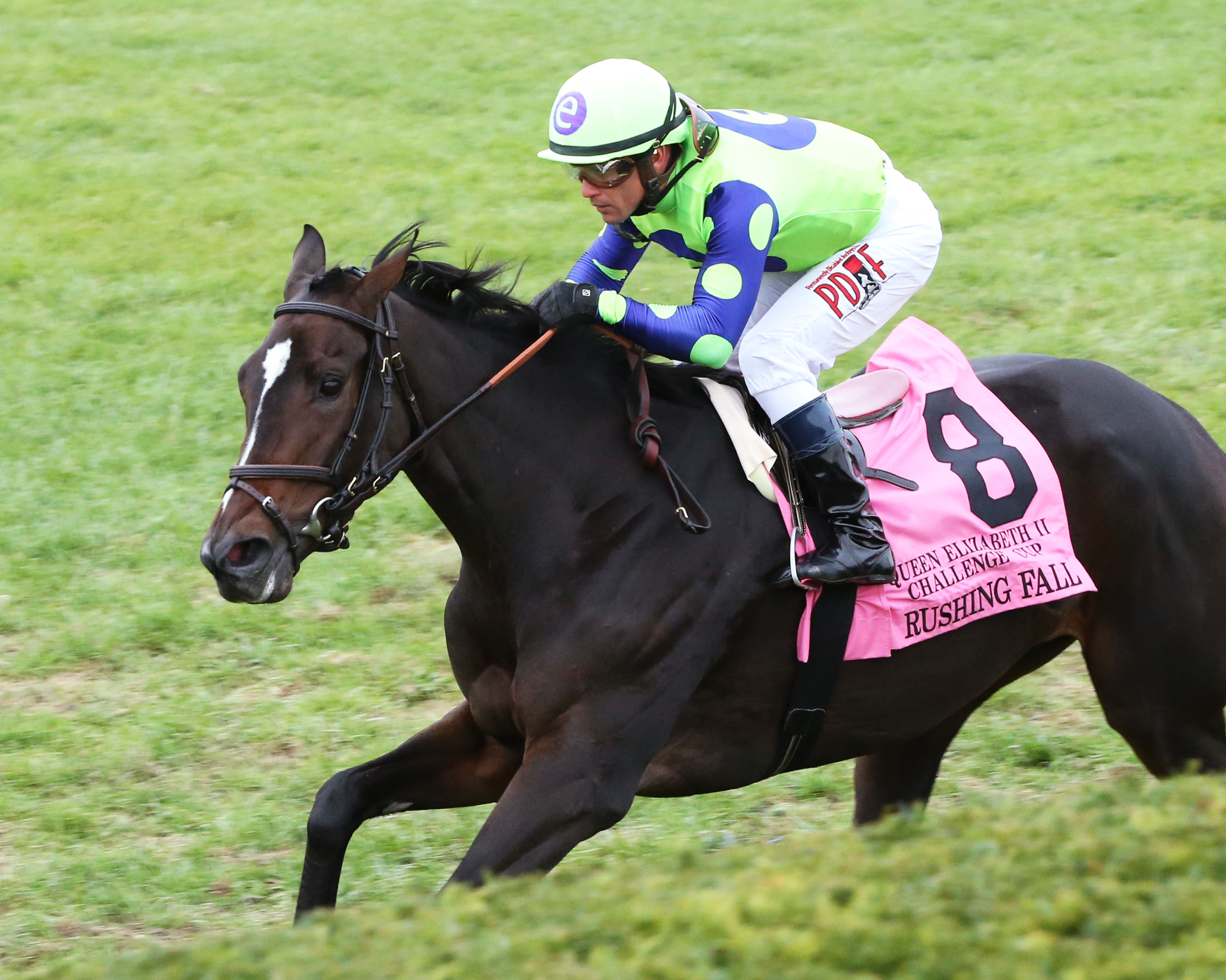 Rushing Fall wins the 2018 QEII Challenge Cup