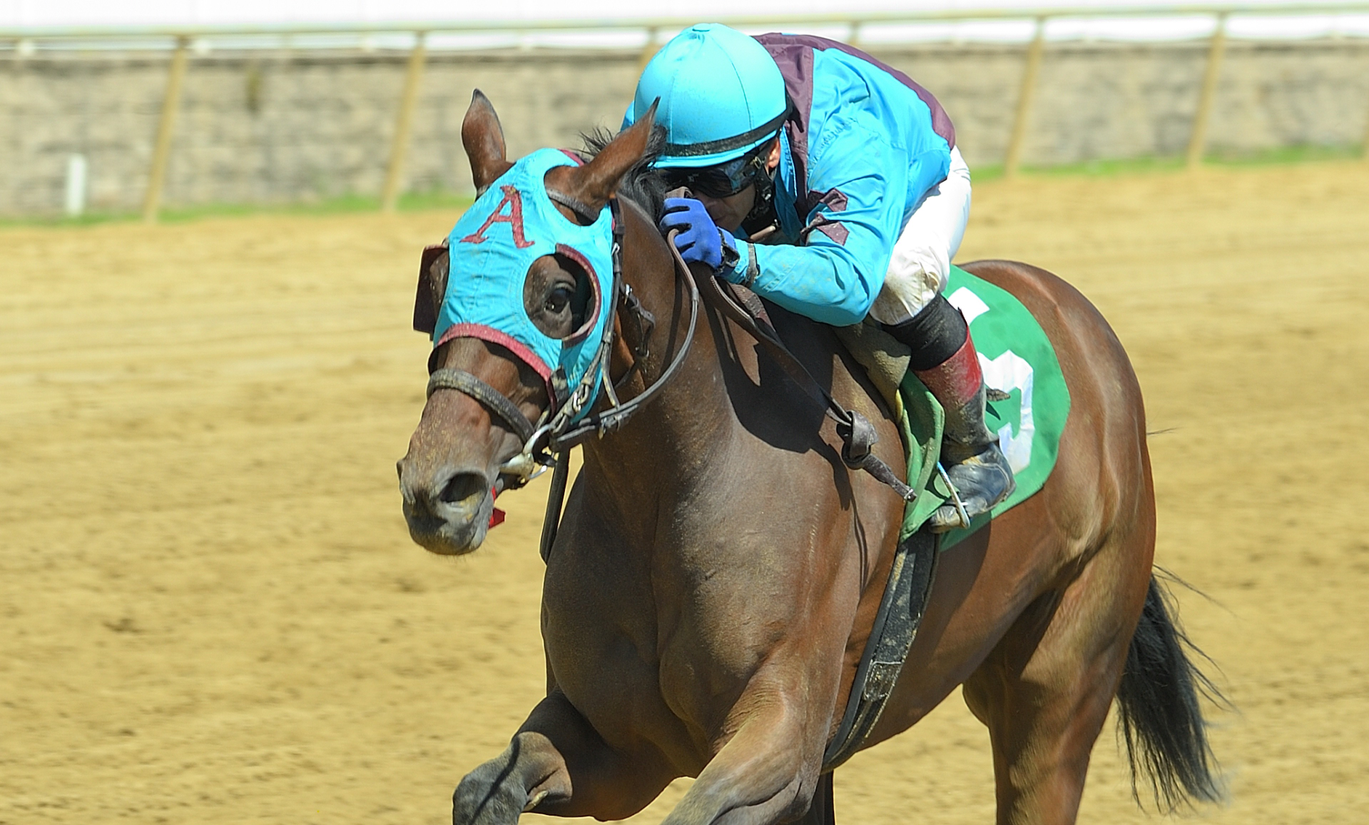 Wicked Awesome se impone de manera cómoda en el Twixt S.